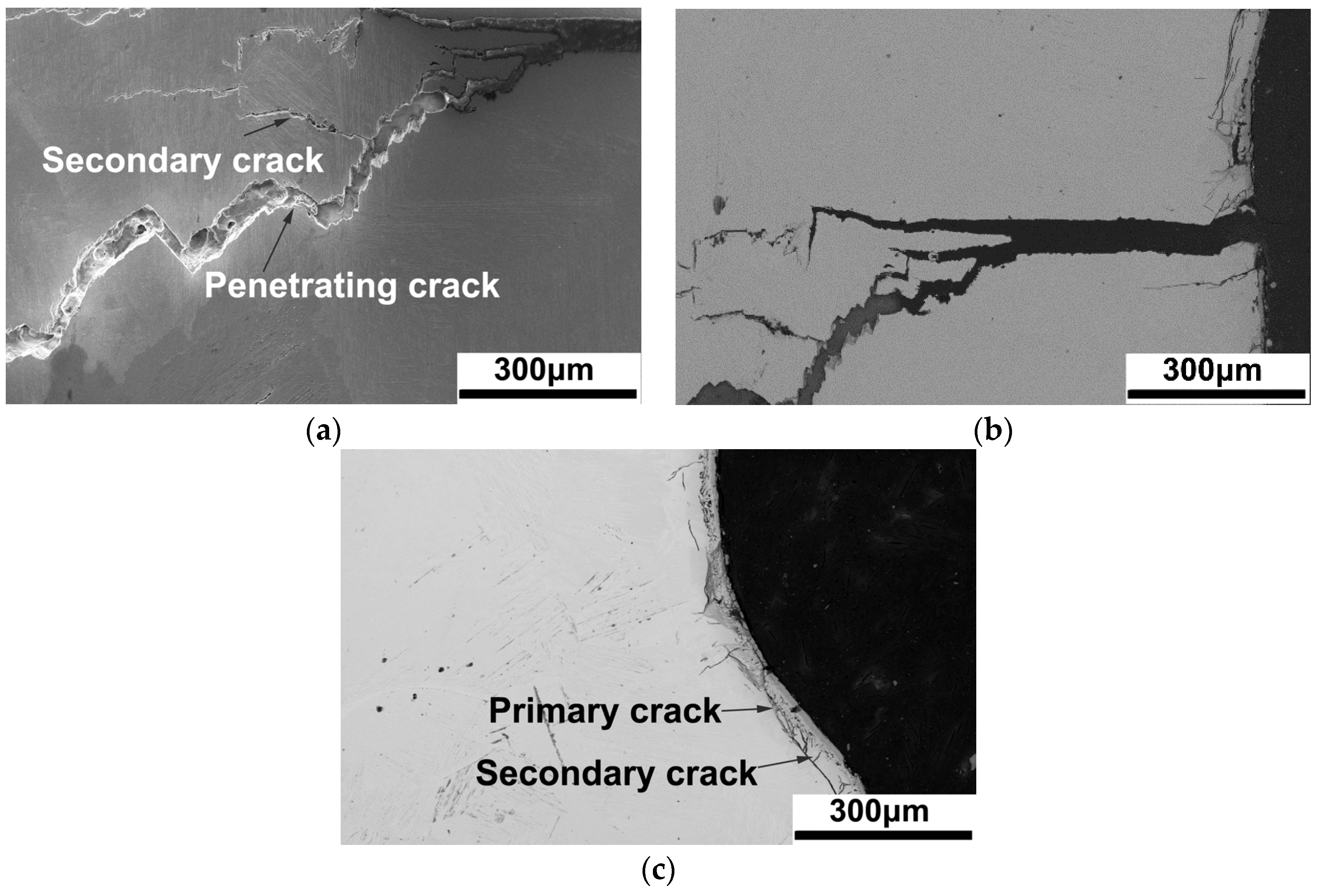 Materials 17 01778 g008