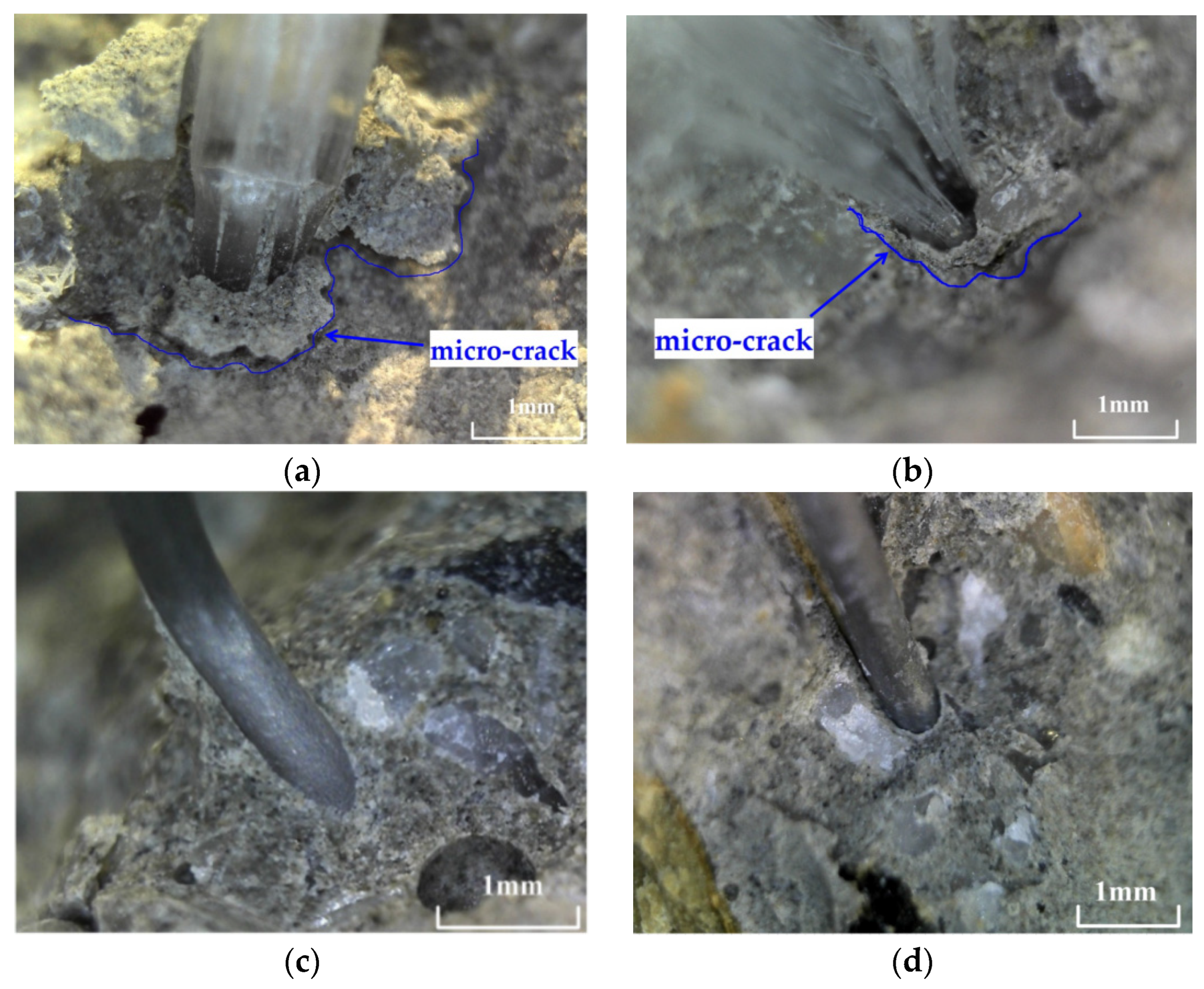Materials 17 01819 g015