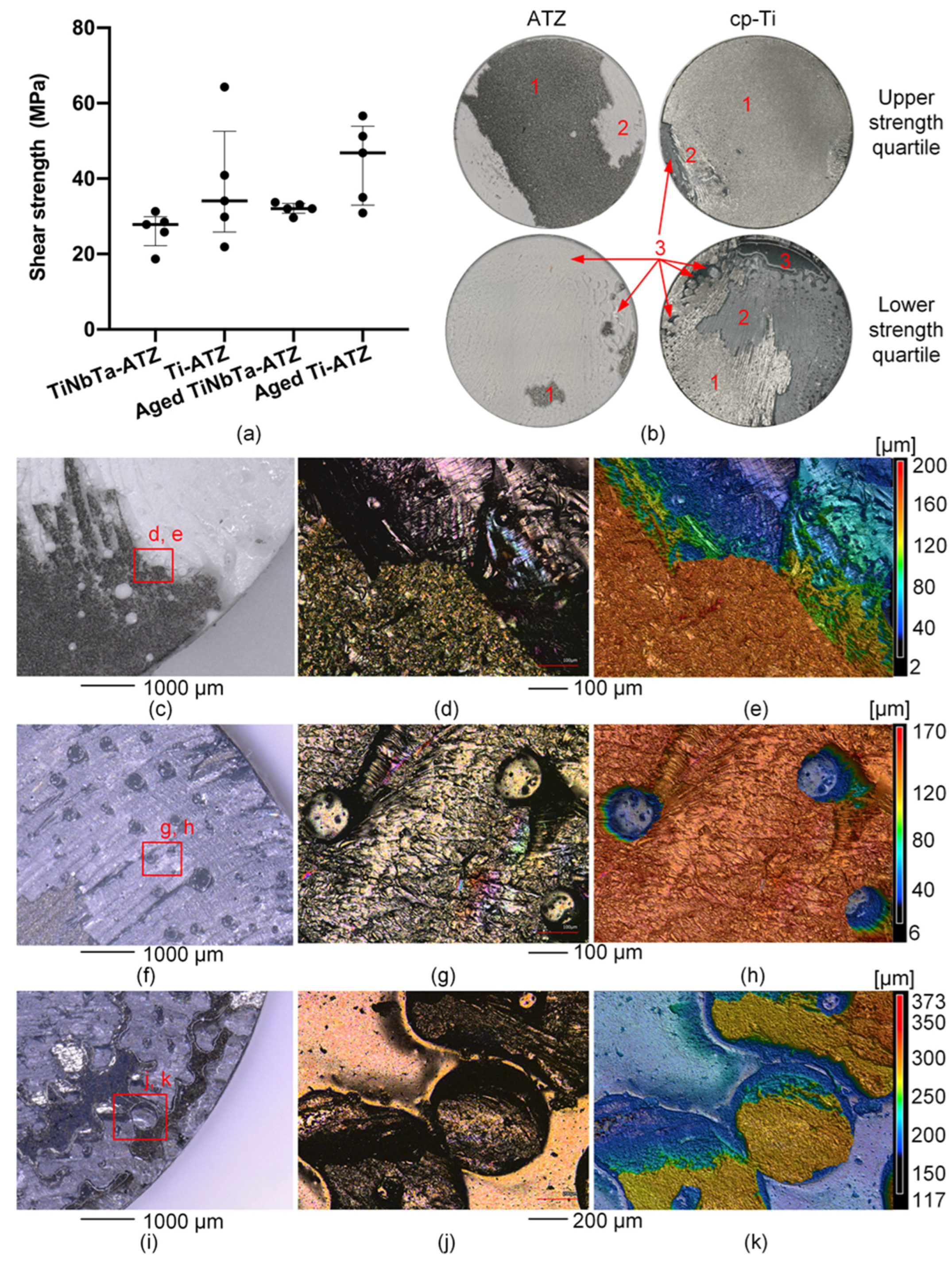 Materials 17 01838 g006