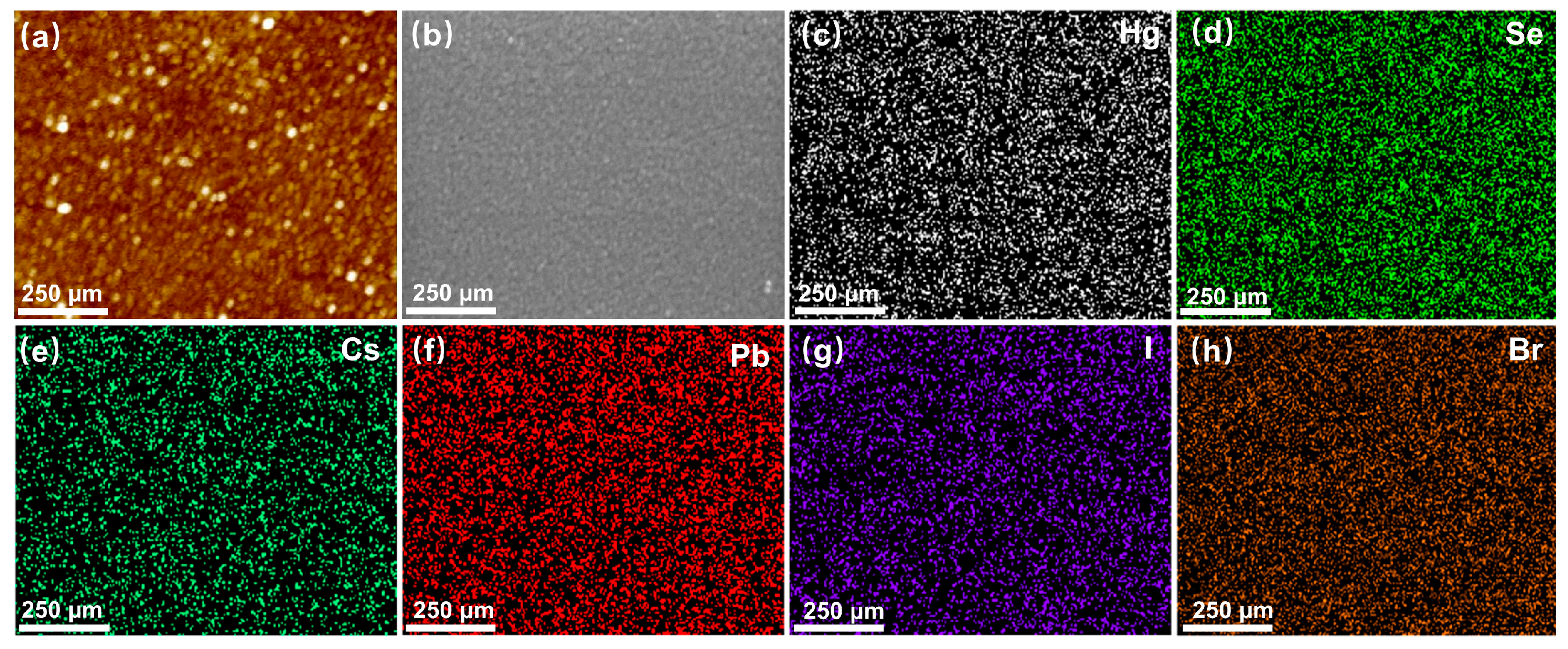 Materials 17 01864 g004