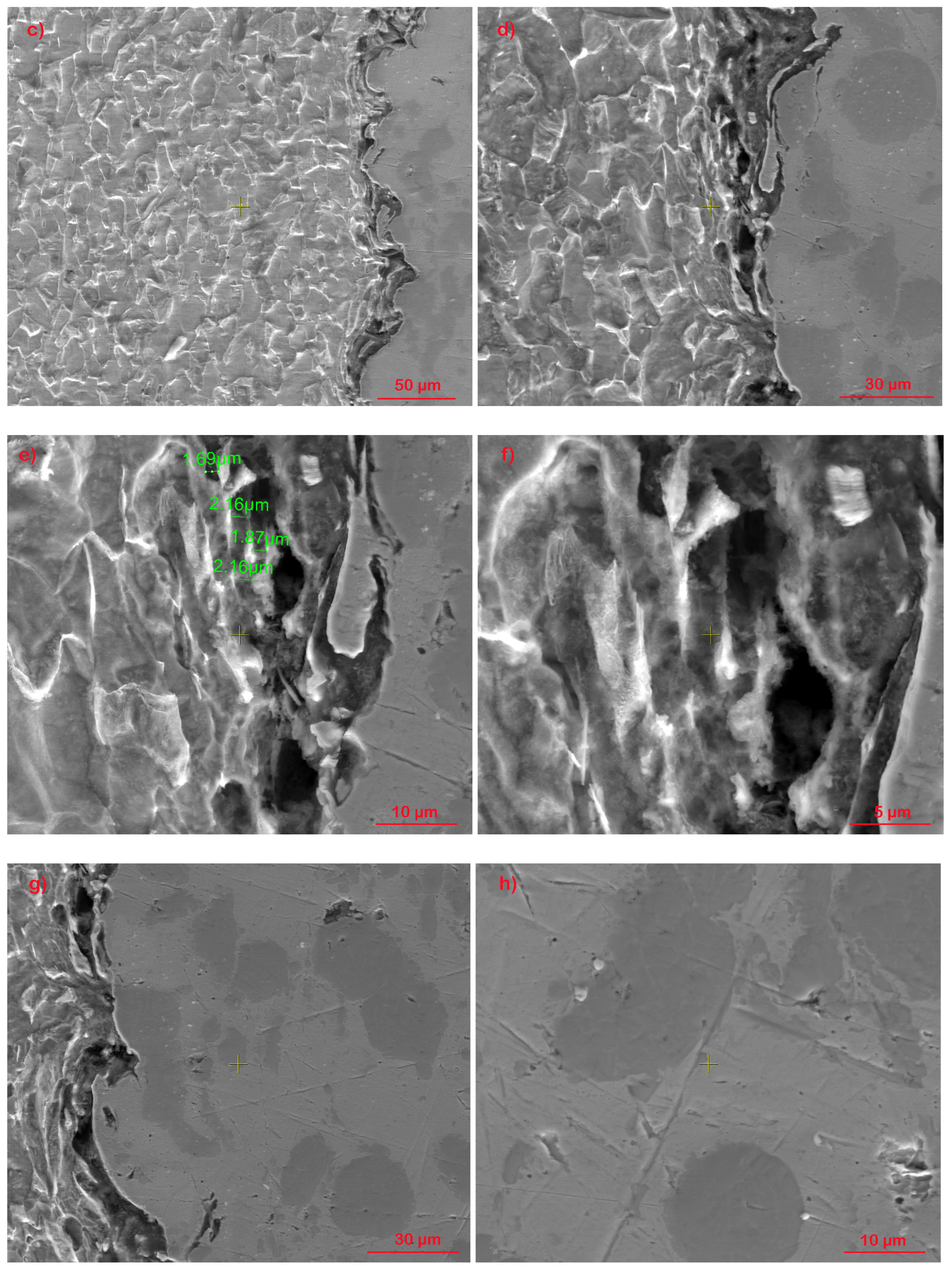 Materials 17 01868 g002b