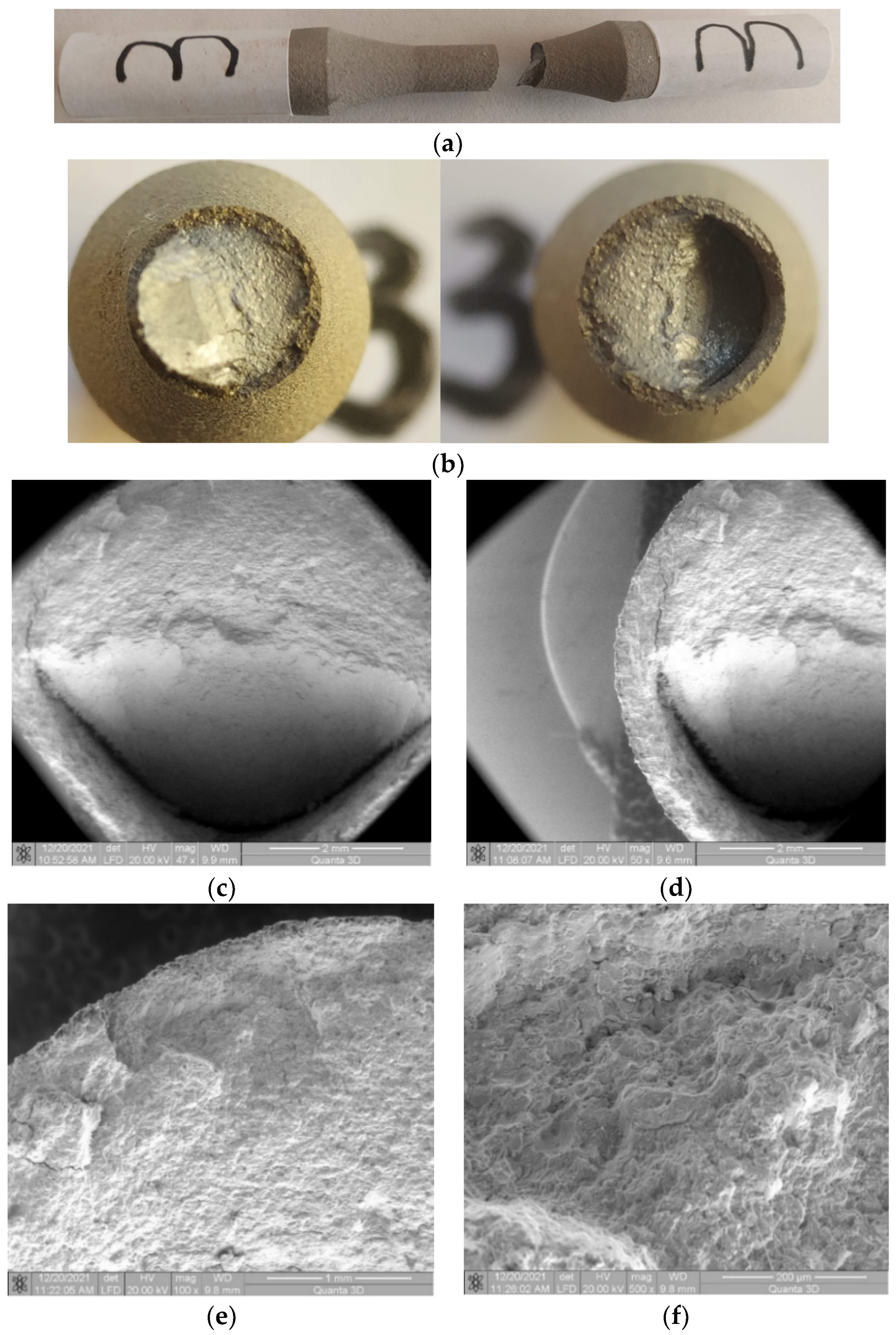 Materials 17 01868 g009