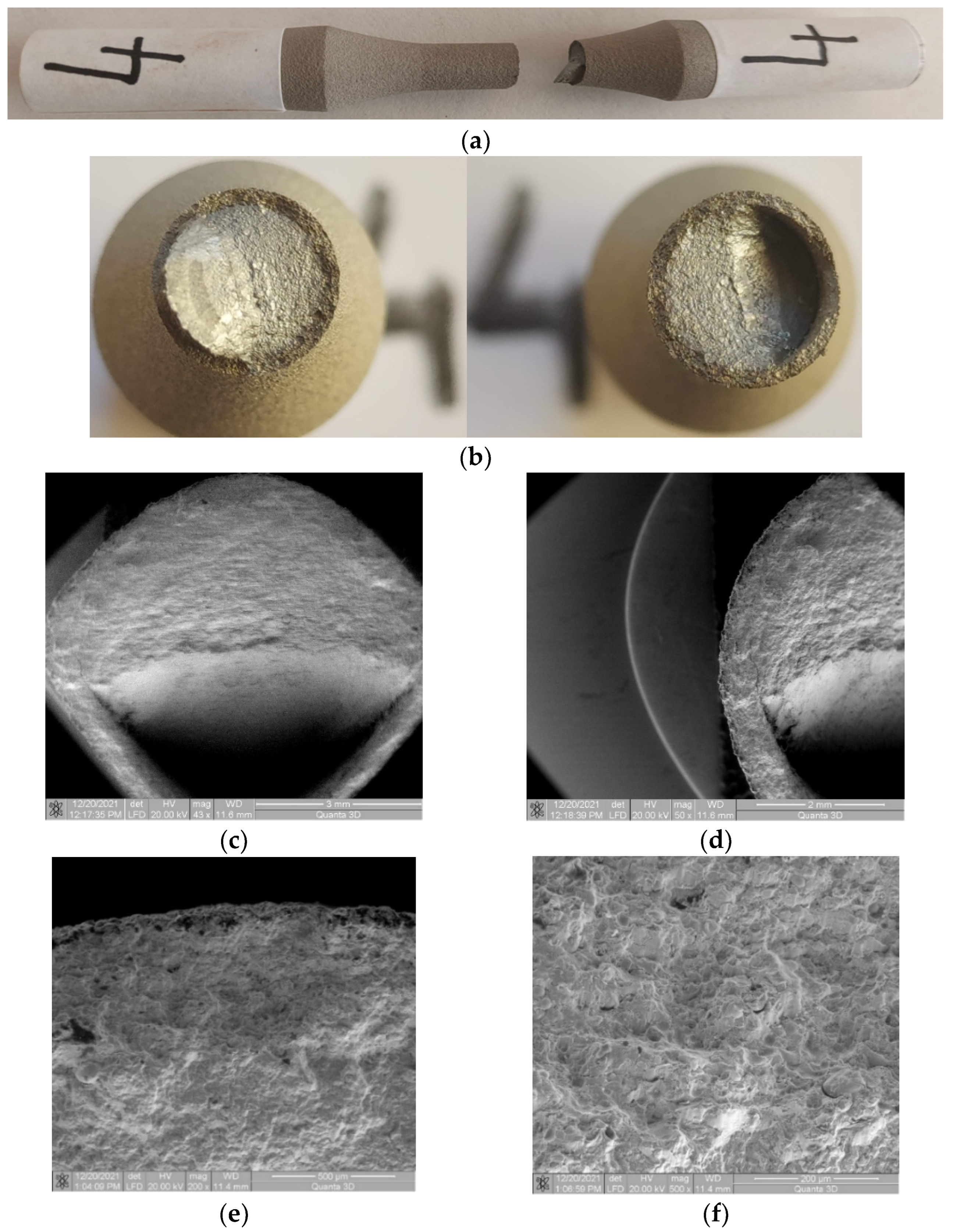 Materials 17 01868 g010