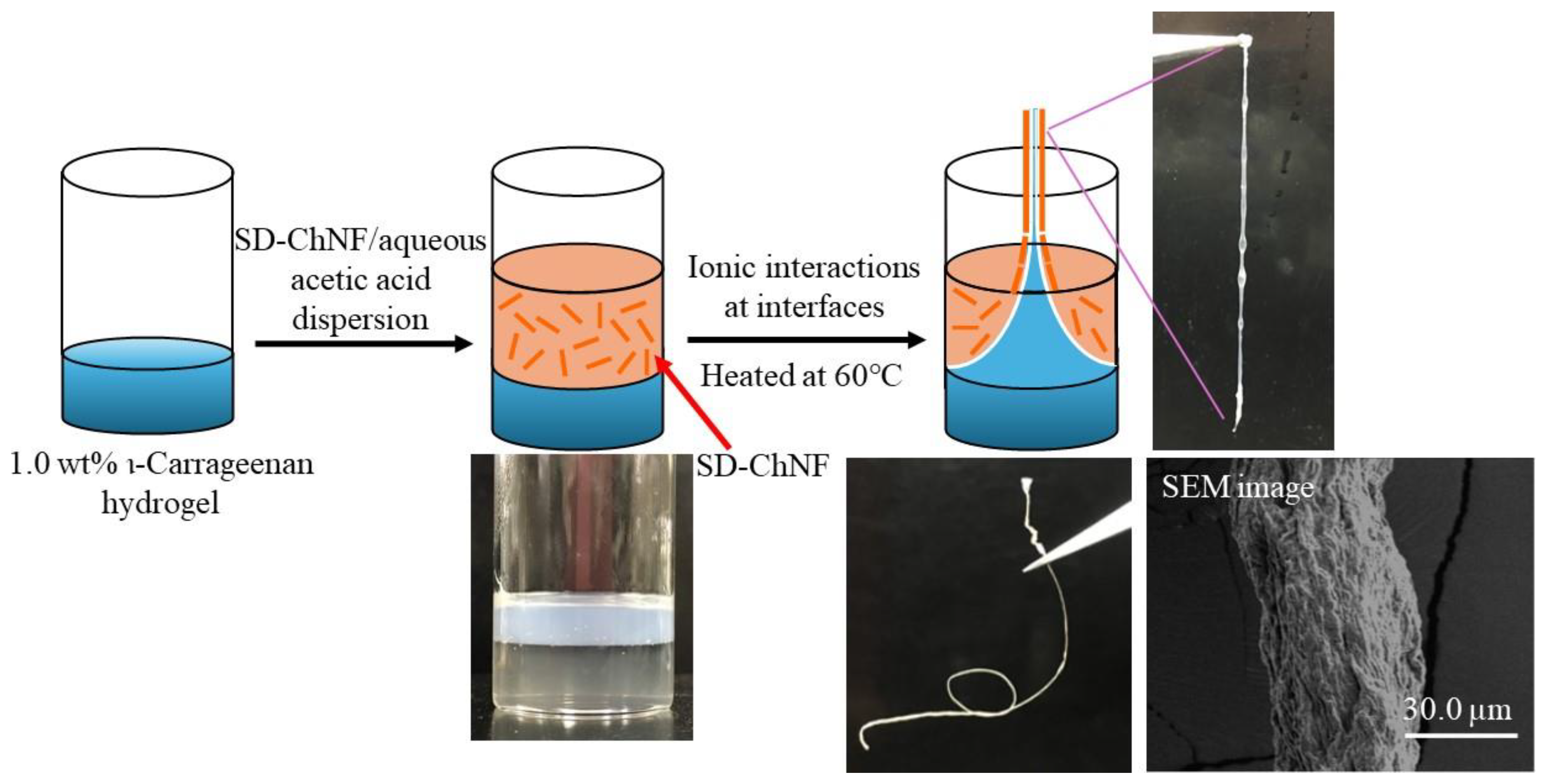 Materials 17 01898 g009