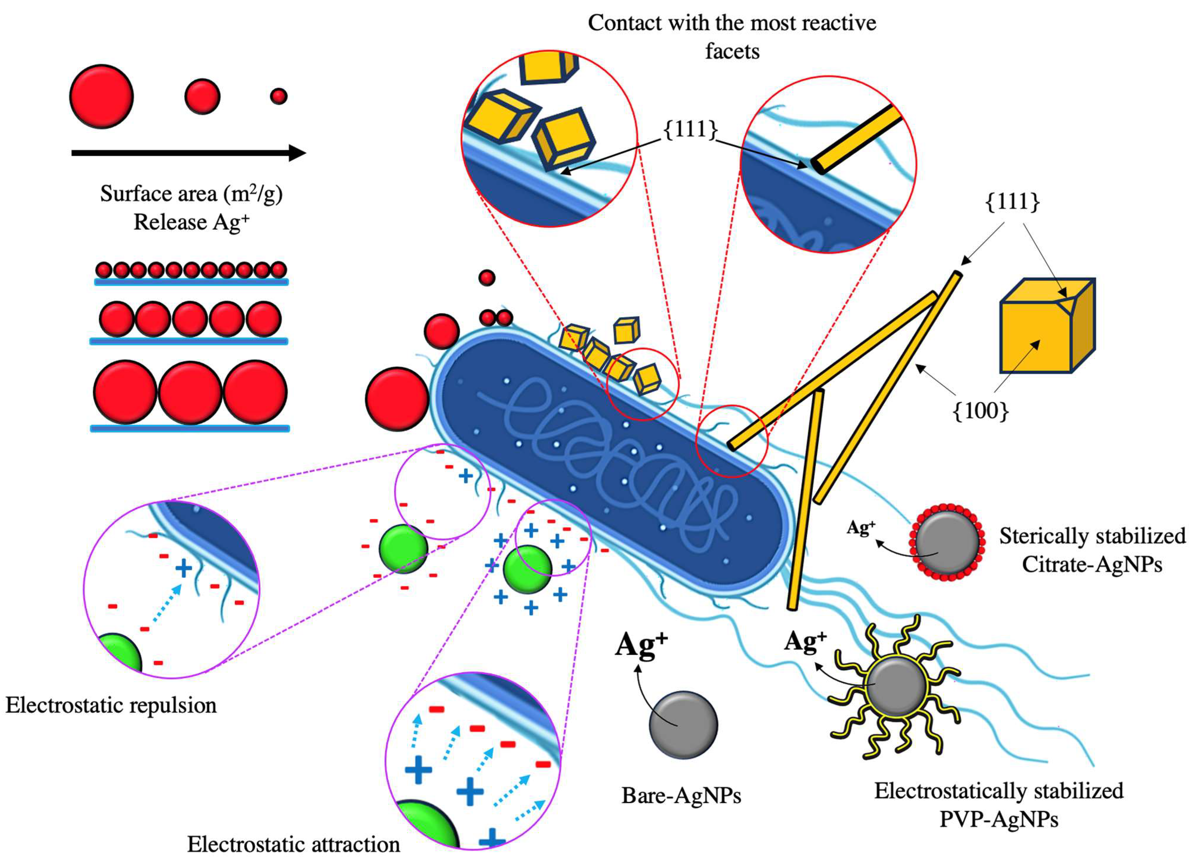 Materials 17 01939 g001