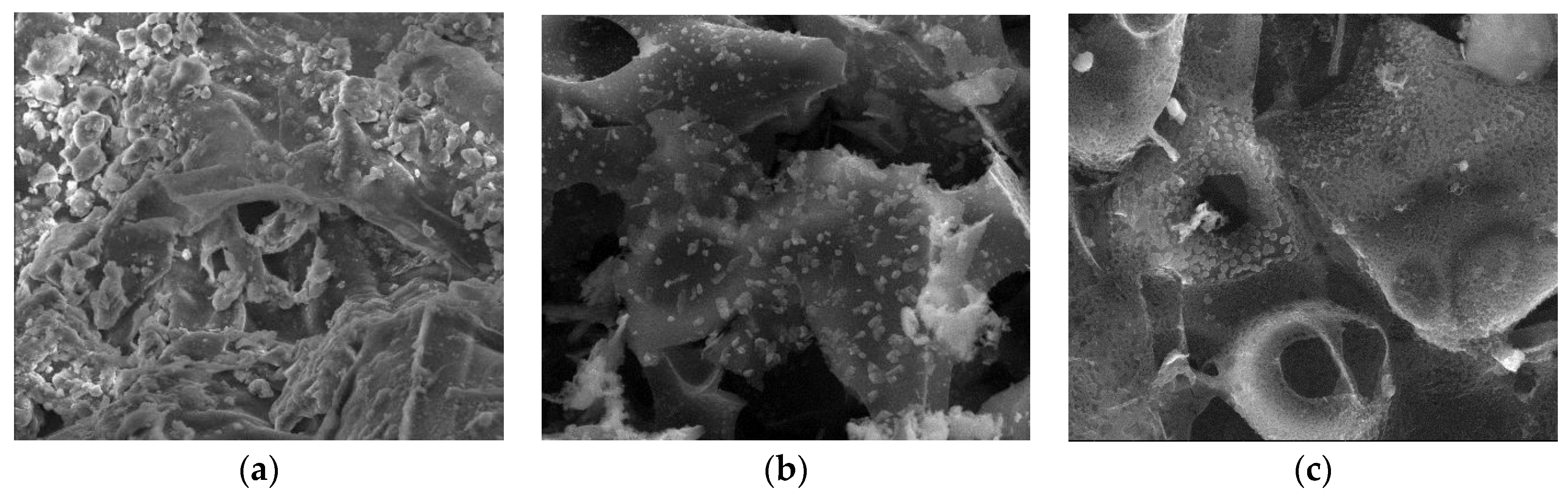 Materials 17 01954 g009