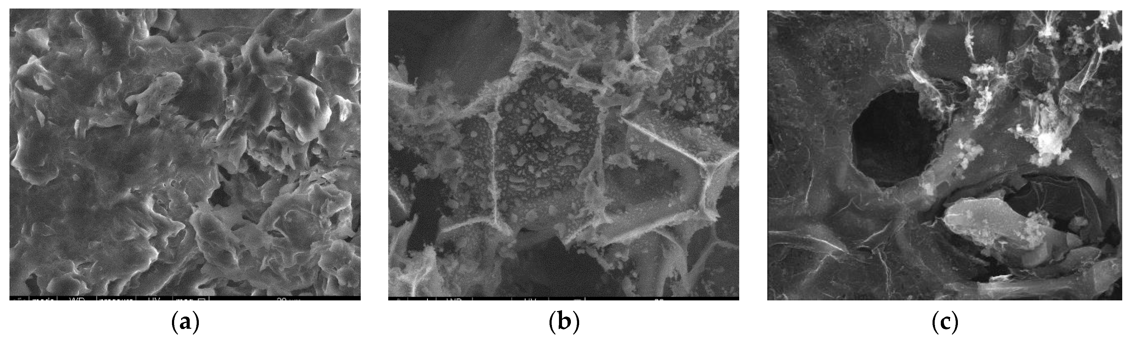 Materials 17 01954 g013