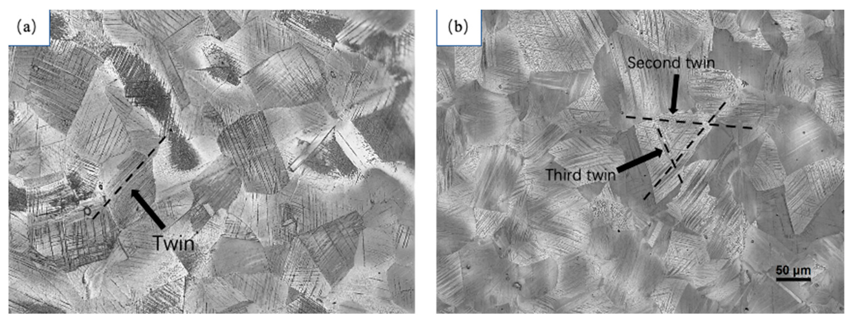 Materials 17 01955 g008