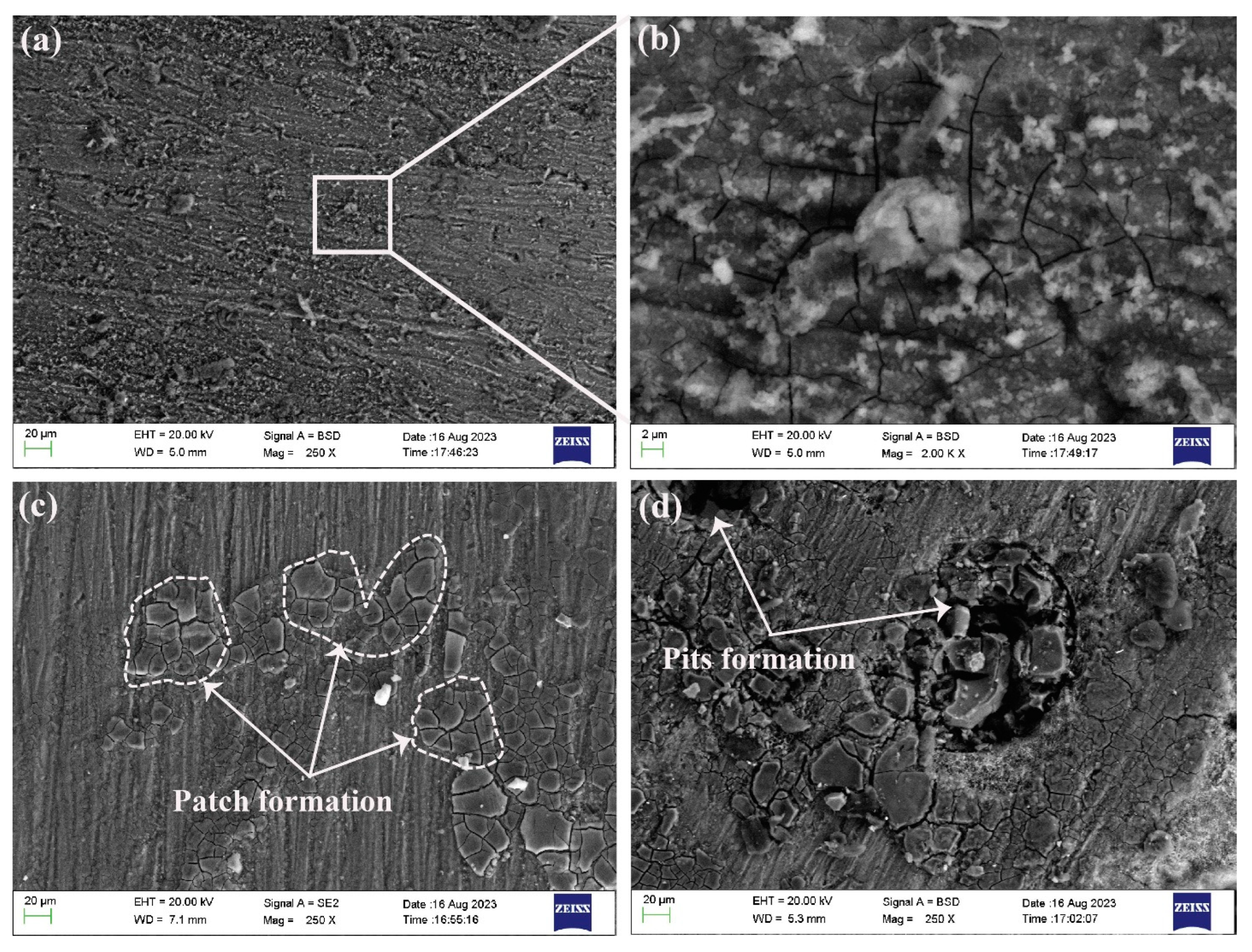 Materials 17 01959 g002