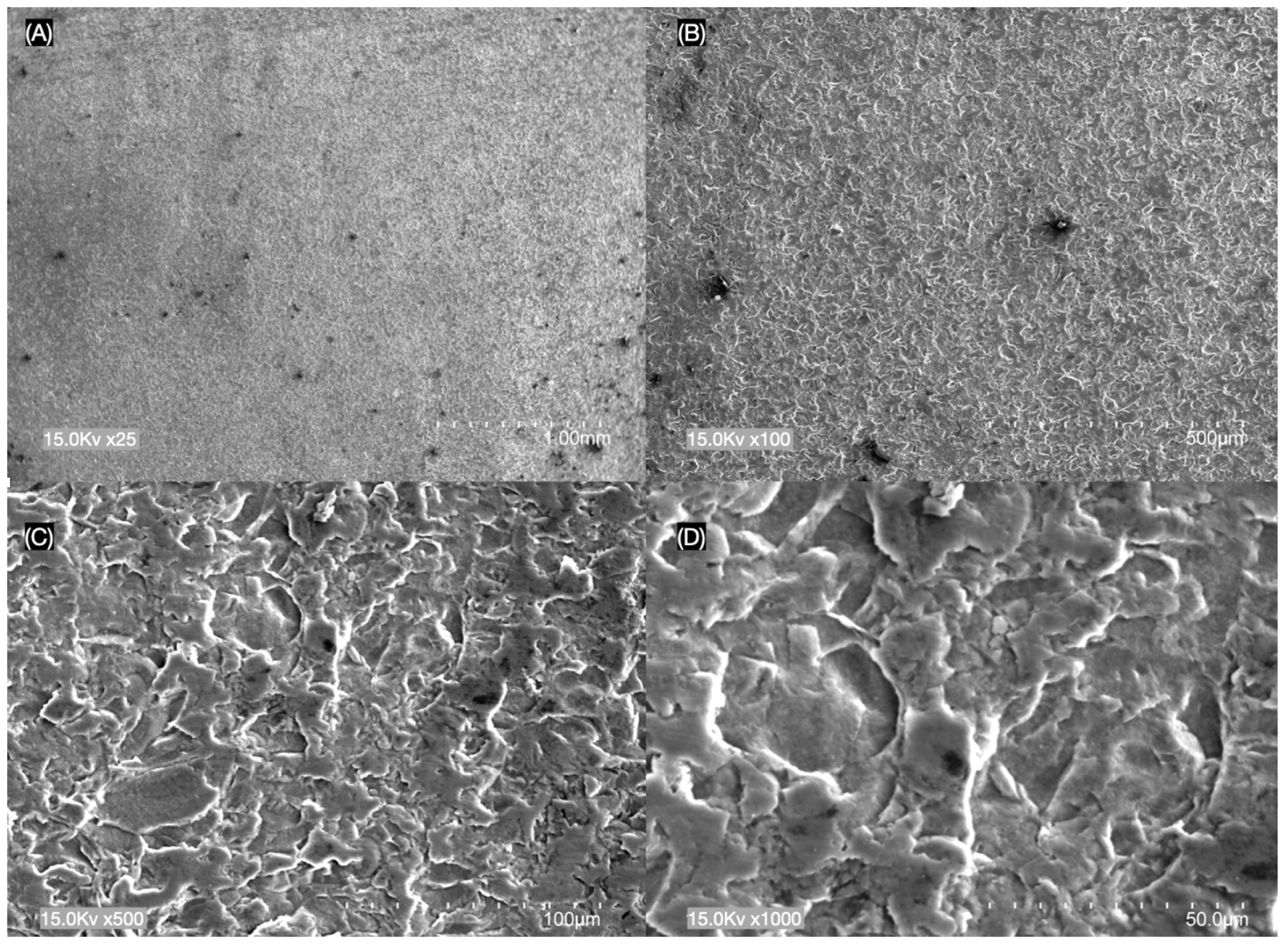 Materials 17 02045 g002