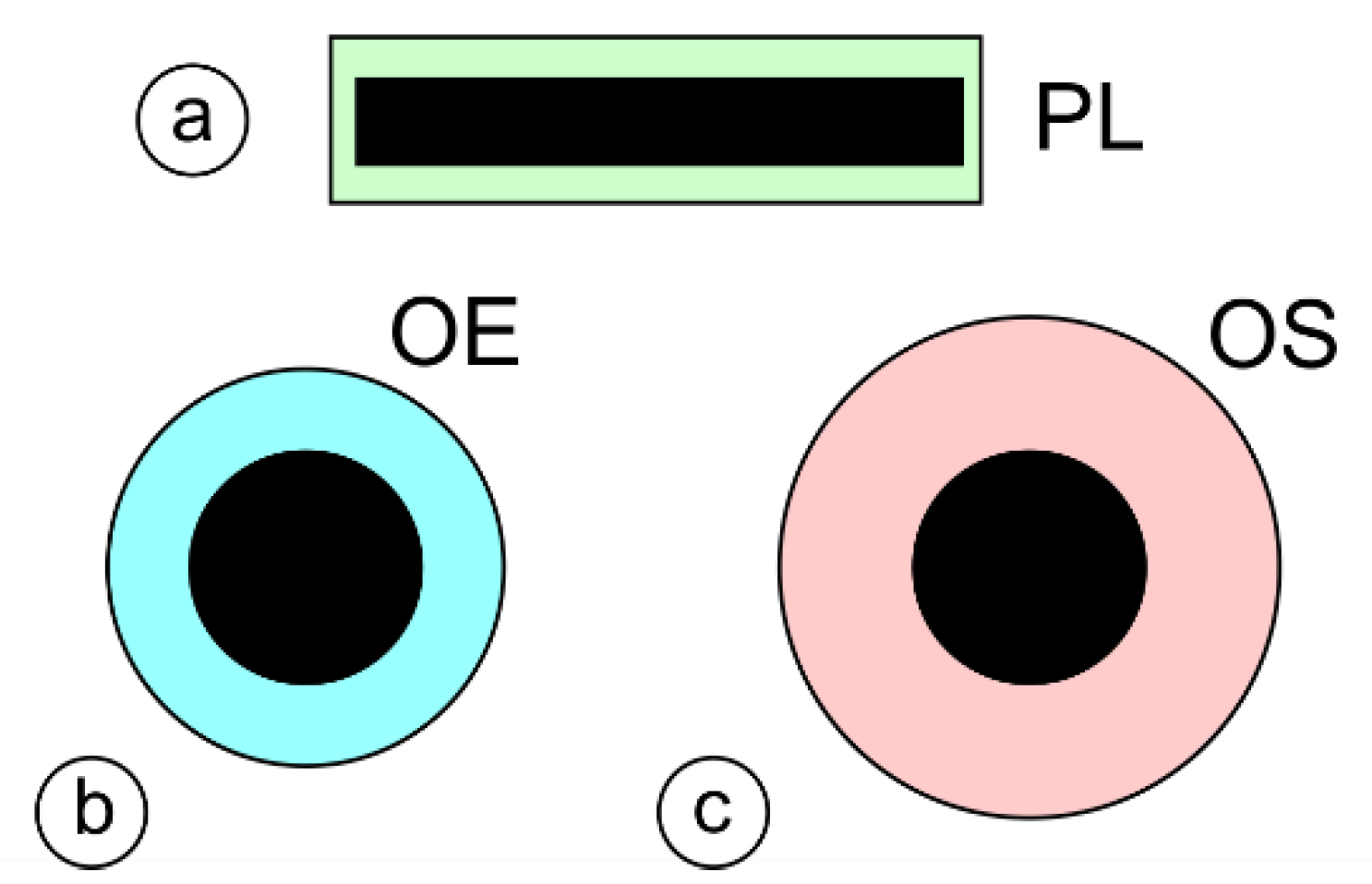 Materials 17 02051 g004