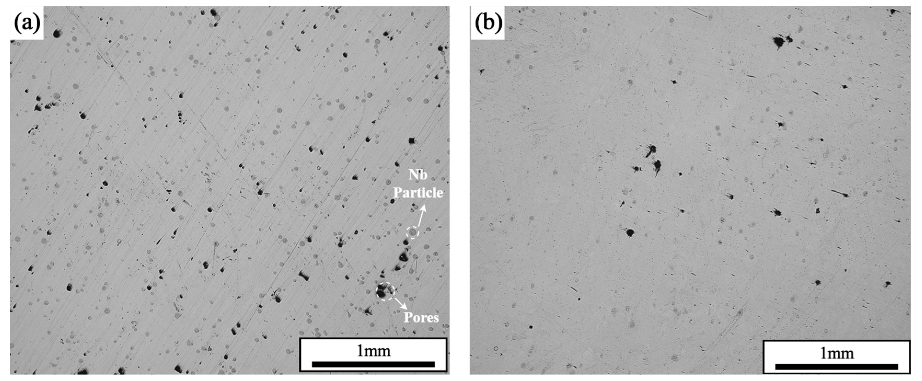 Materials 17 02061 g005