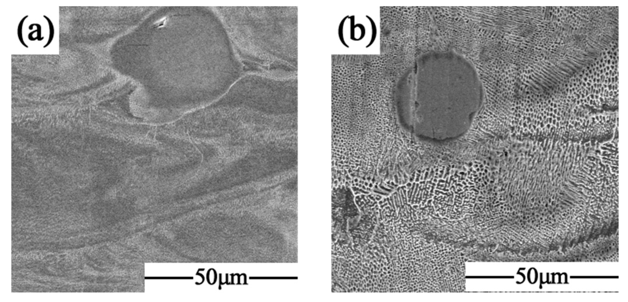 Materials 17 02061 g008