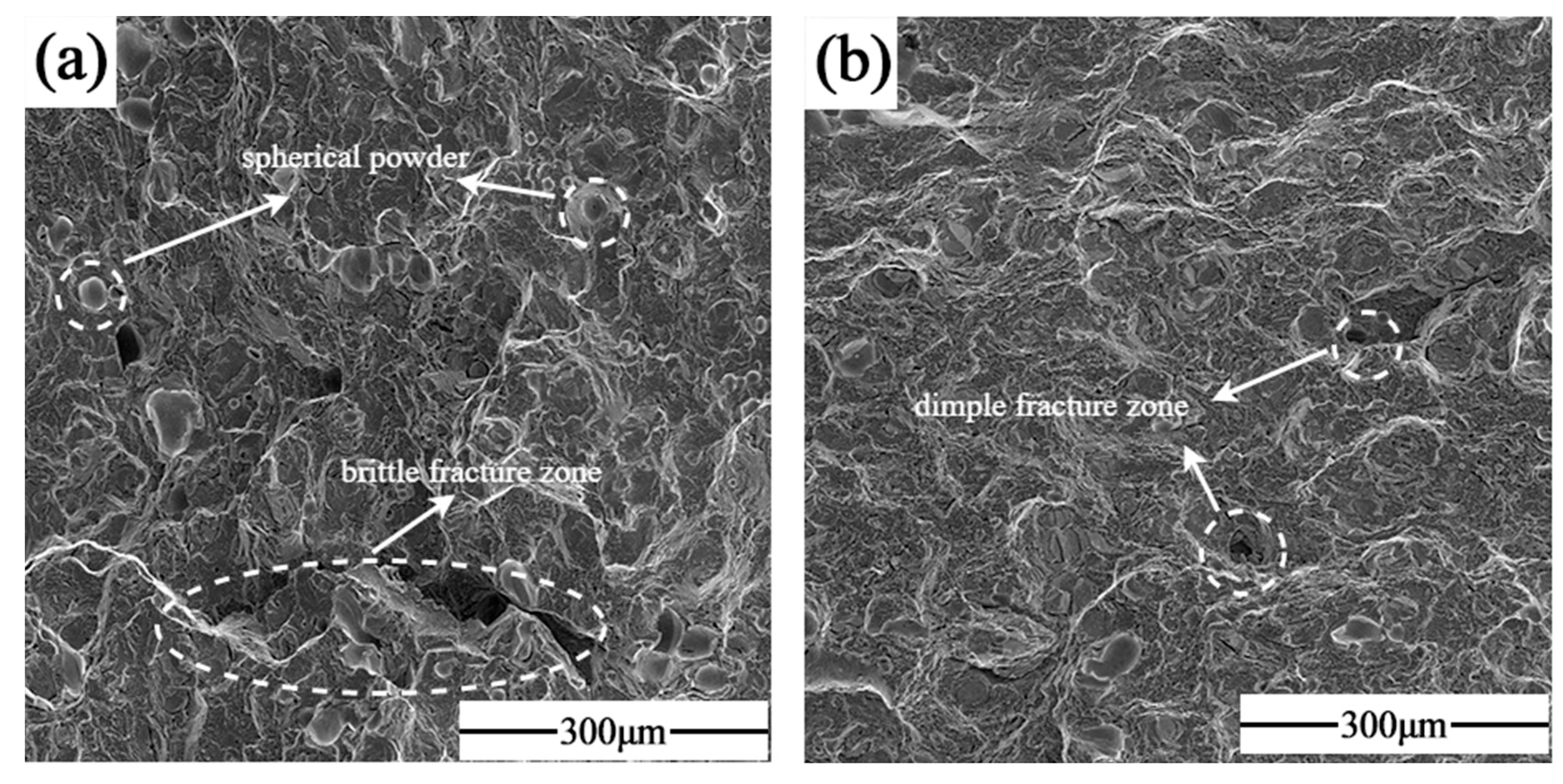 Materials 17 02061 g015