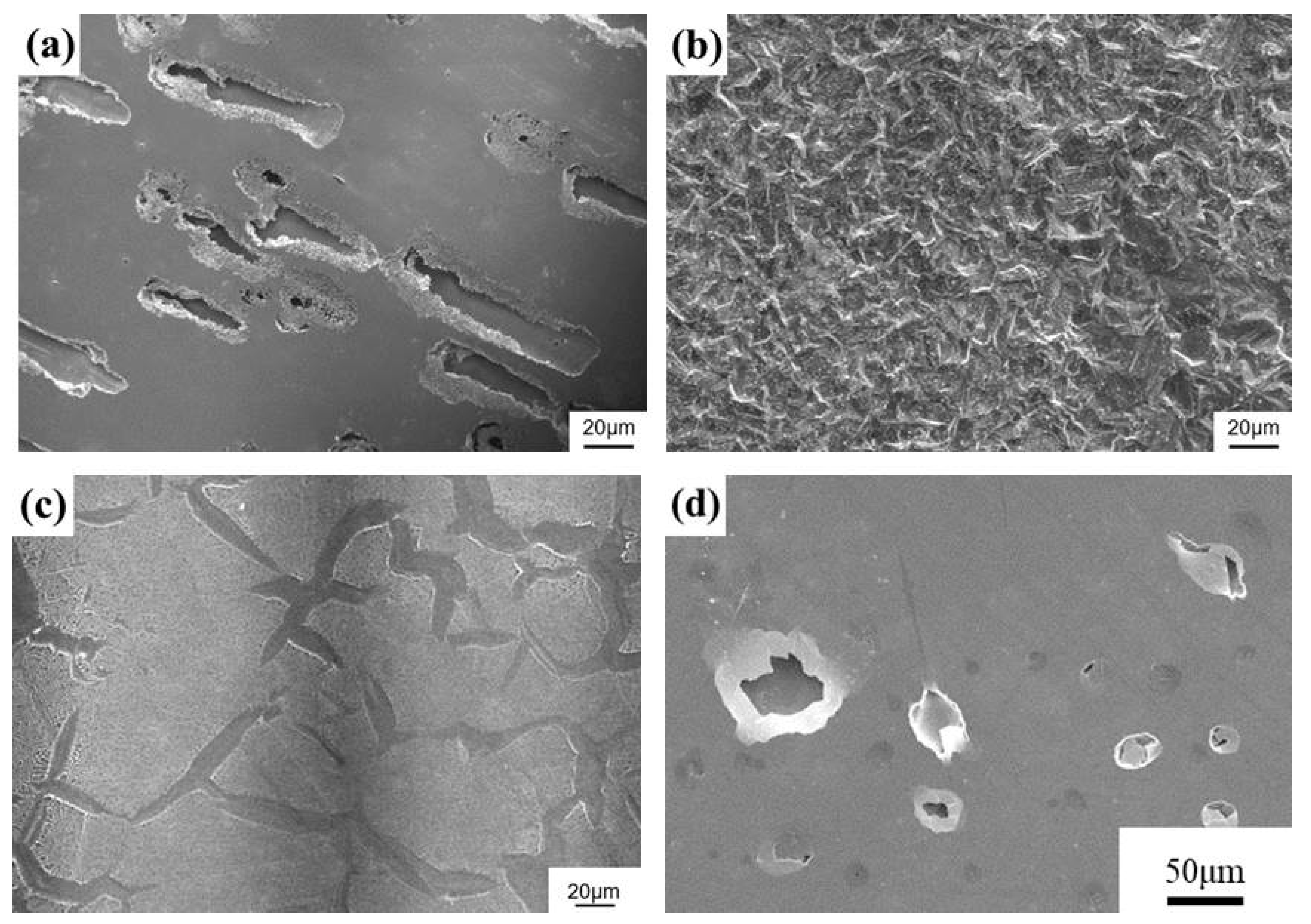 Materials 17 02071 g005