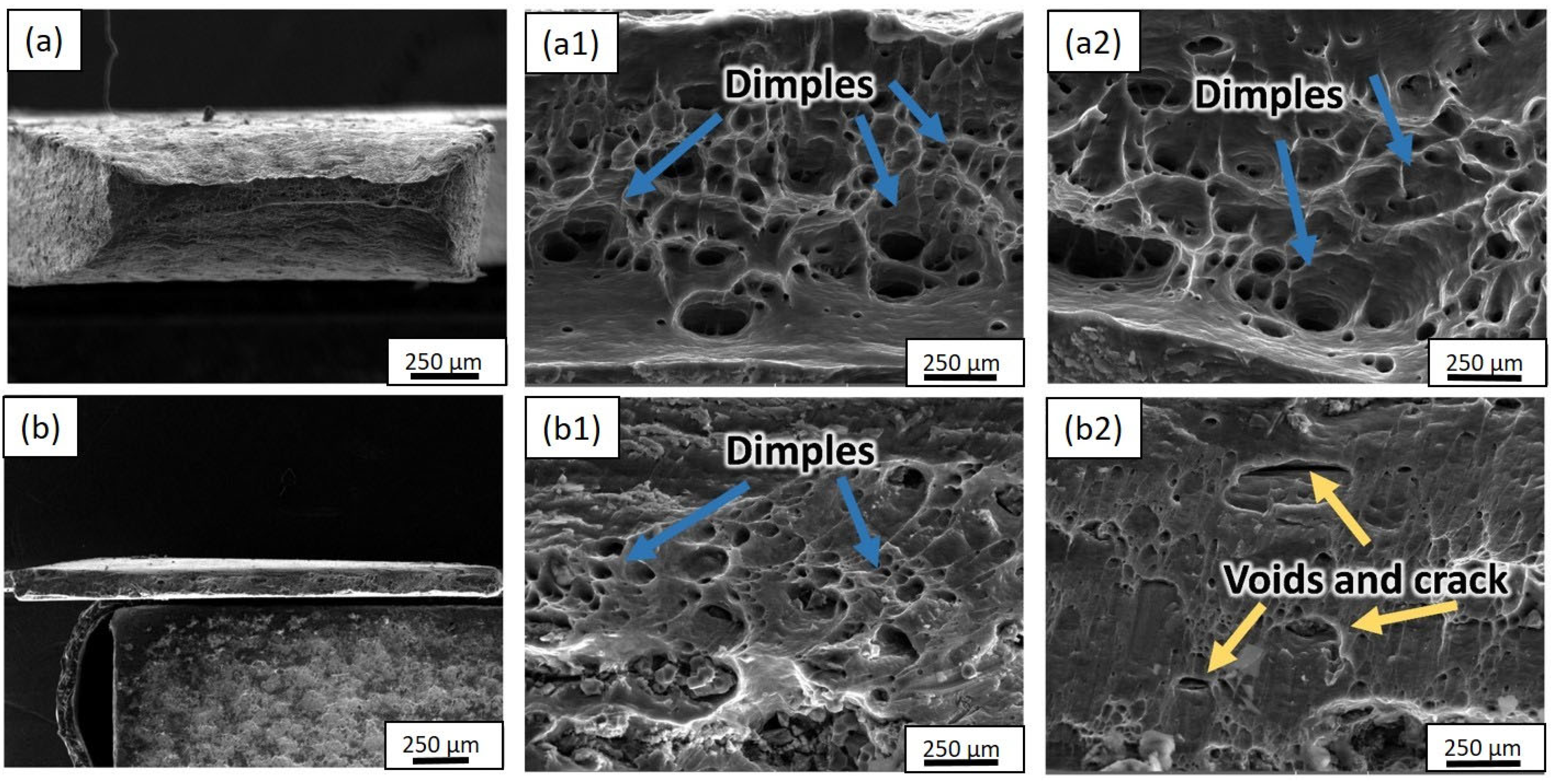 Materials 17 02093 g018