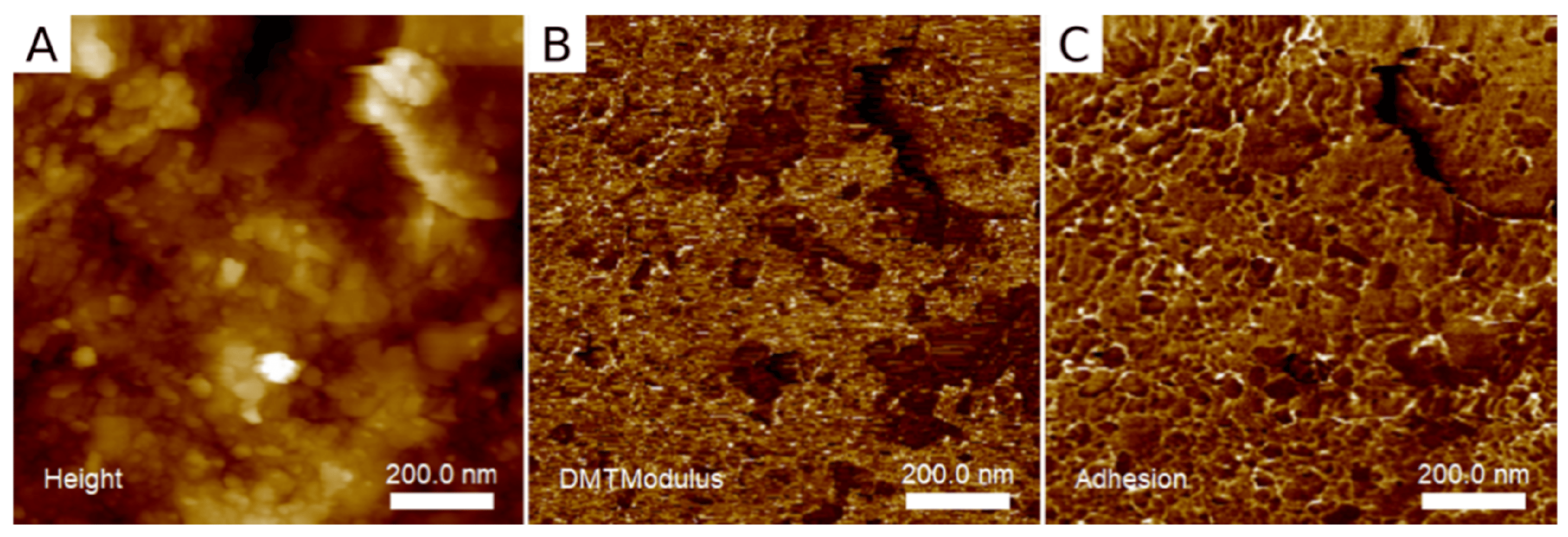 Materials 17 02100 g006