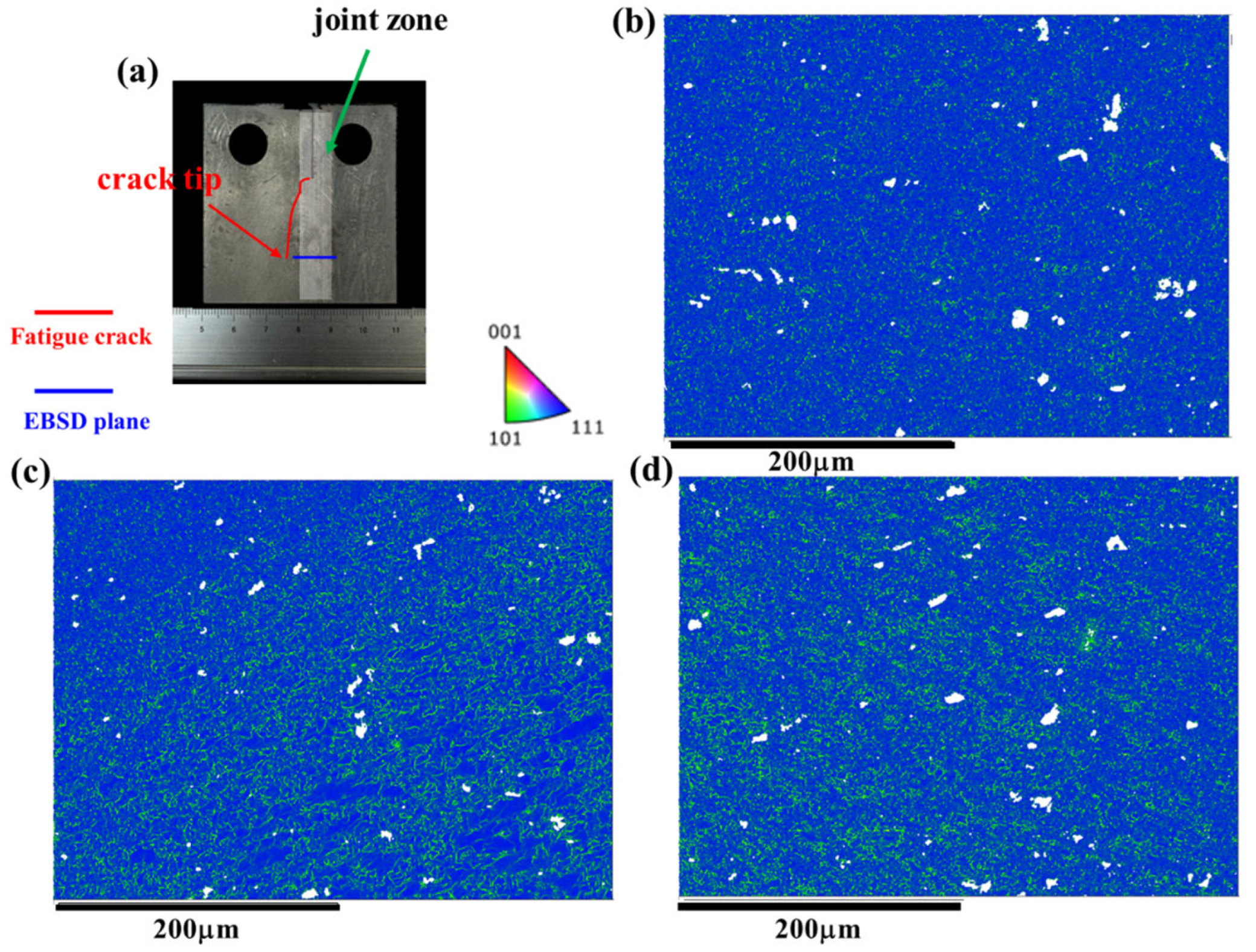 Materials 17 02106 g015