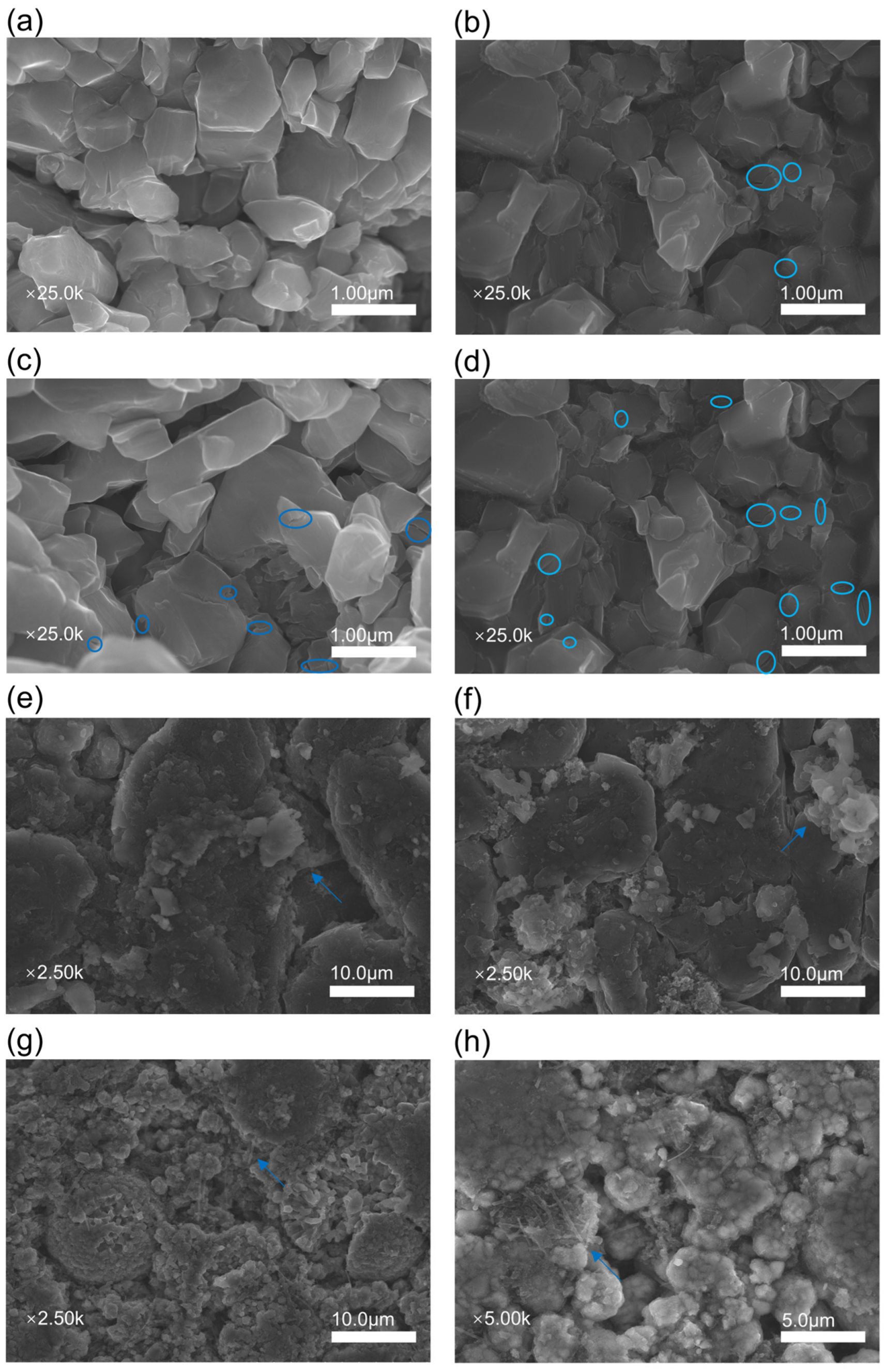 Materials 17 02125 g007