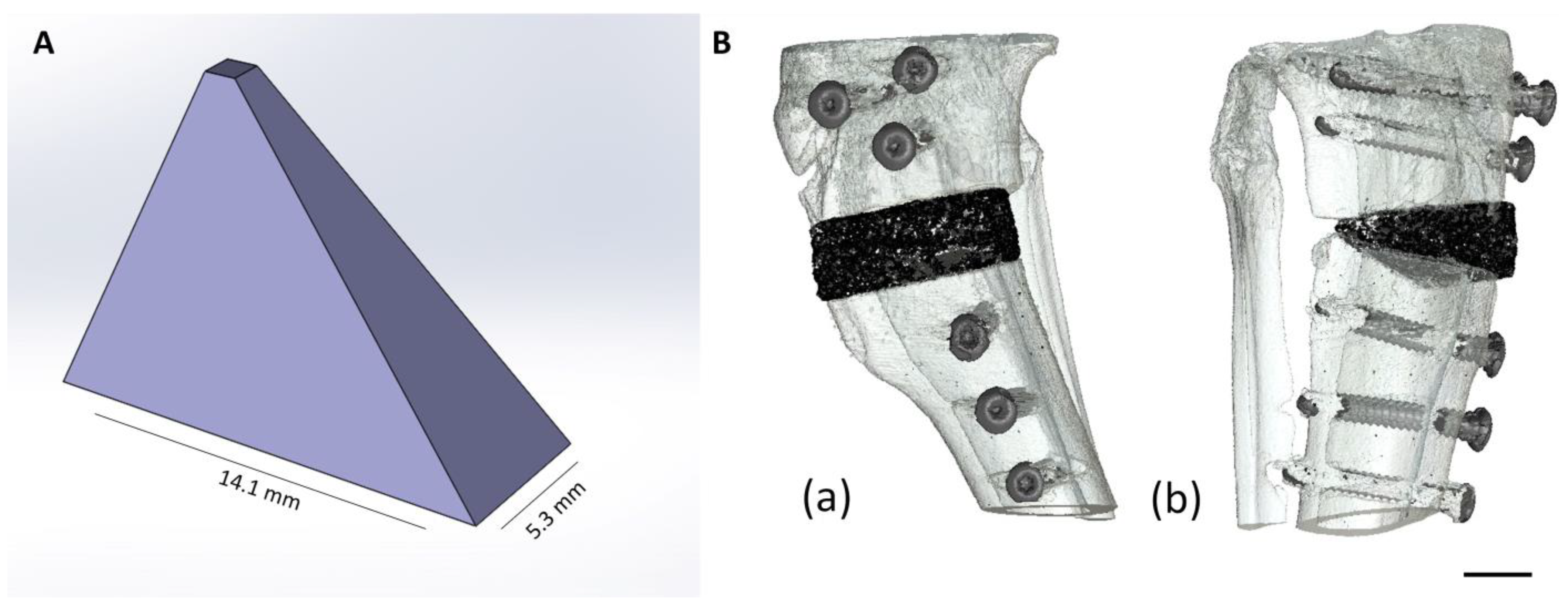 Materials 17 02136 g001