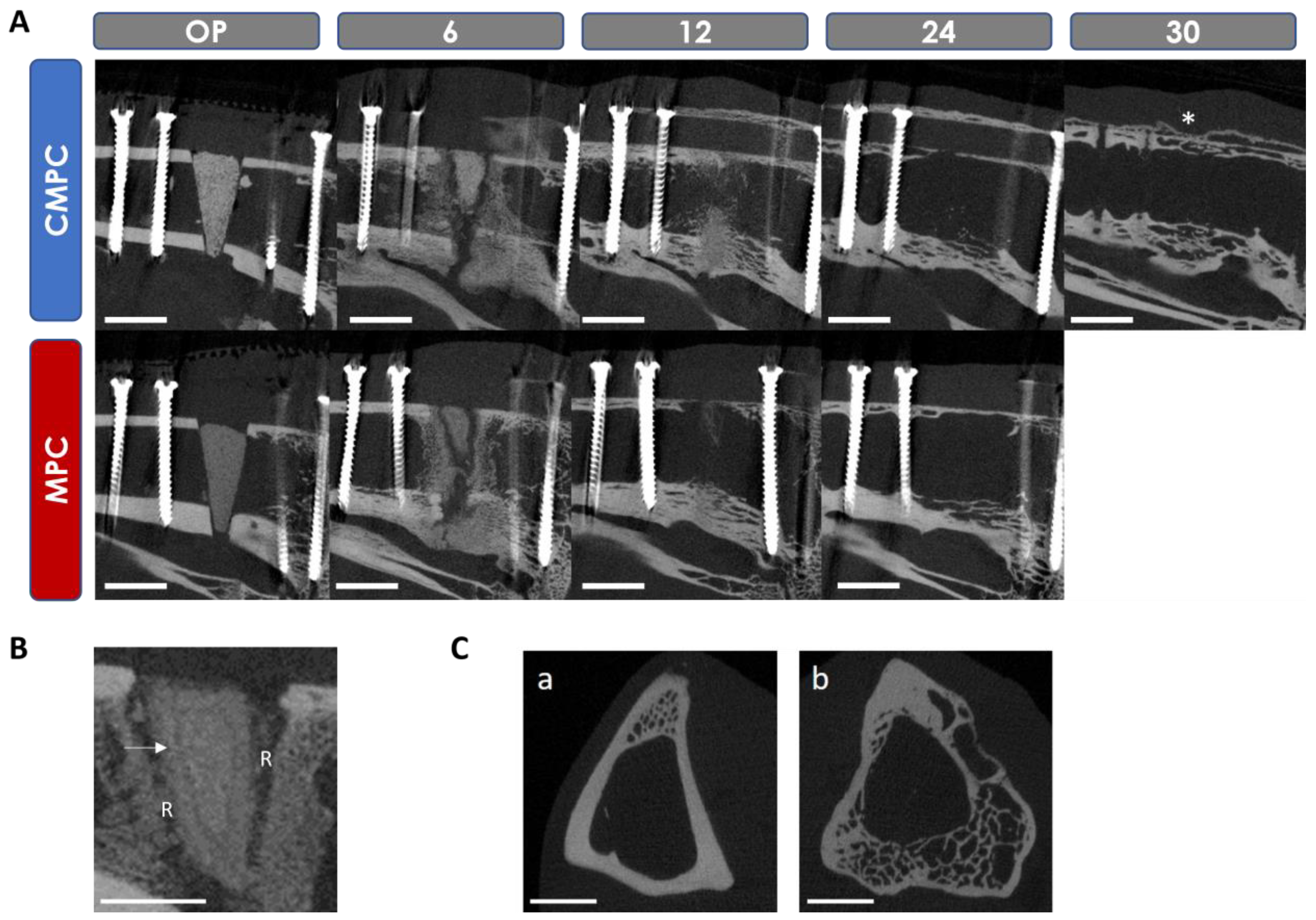 Materials 17 02136 g007