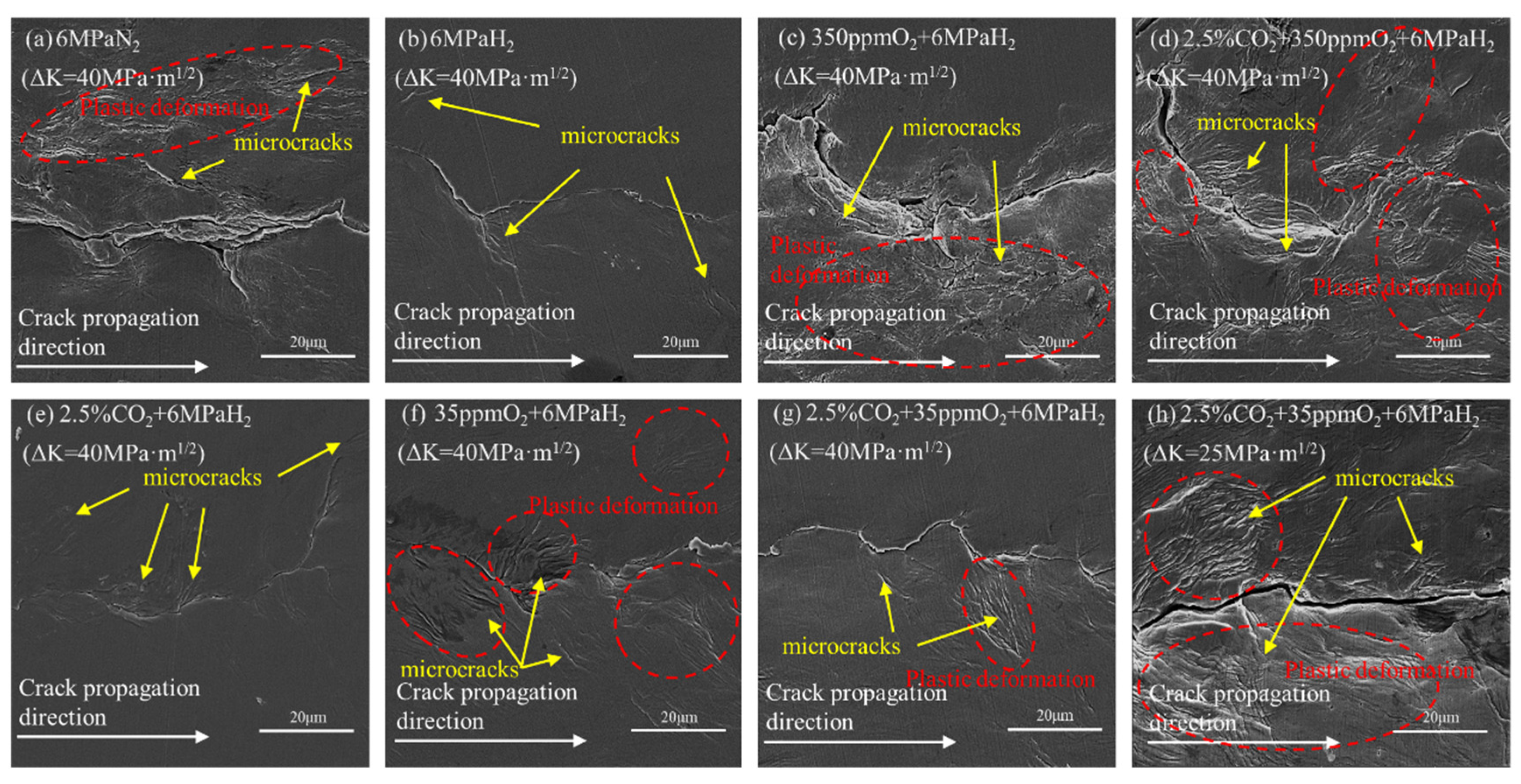 Materials 17 02157 g006
