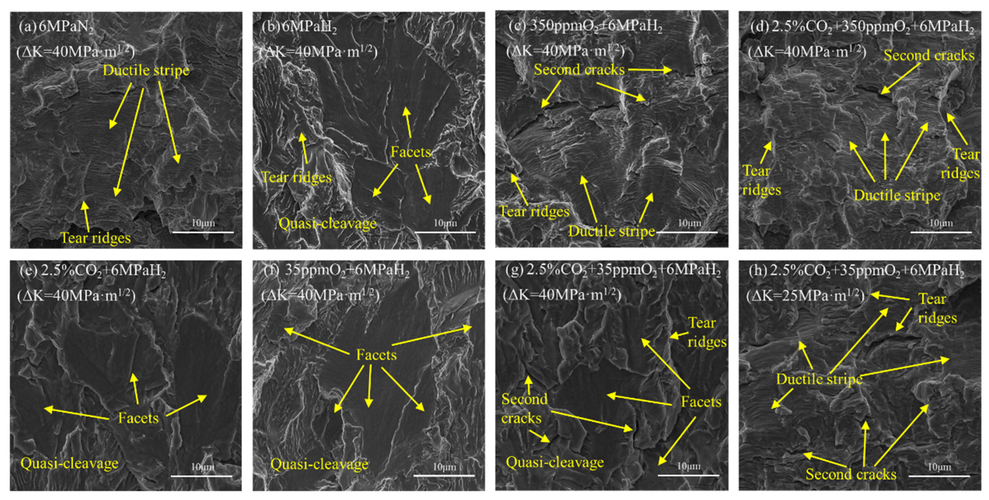 Materials 17 02157 g007