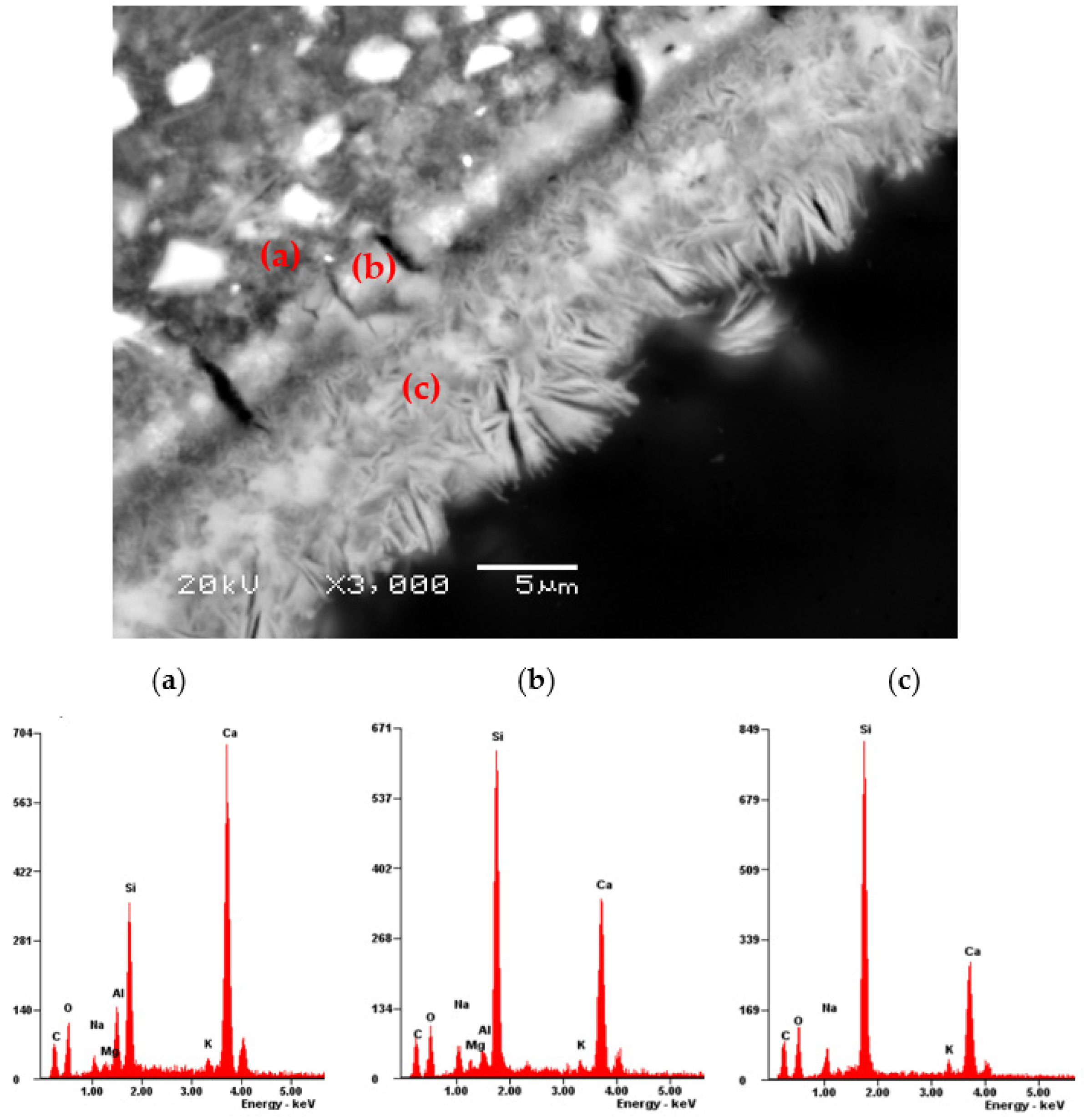 Materials 17 02207 g006