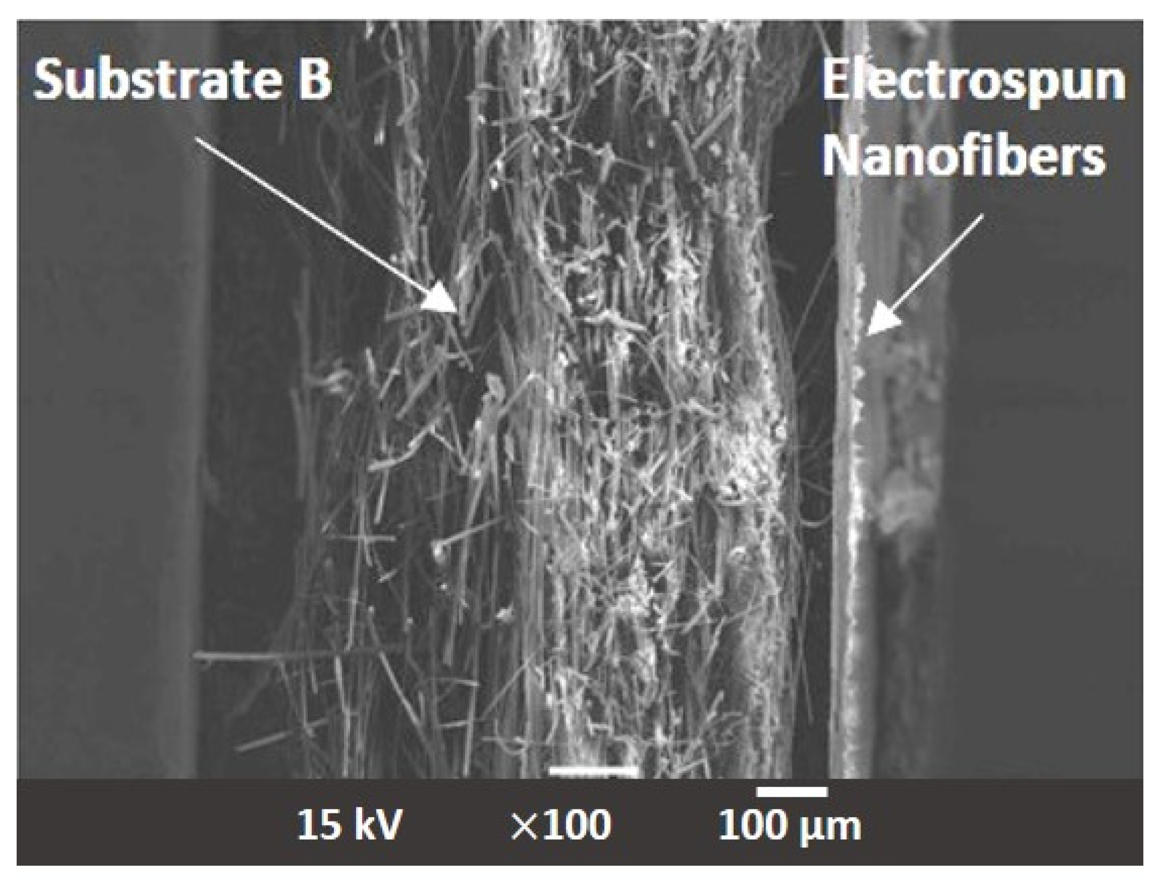 Materials 17 02209 g007