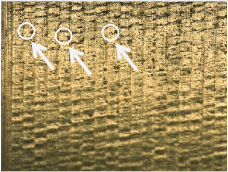 Materials 17 02210 i019