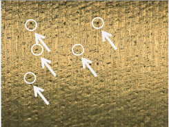 Materials 17 02210 i025