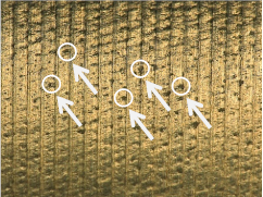 Materials 17 02210 i027