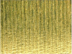 Materials 17 02210 i028