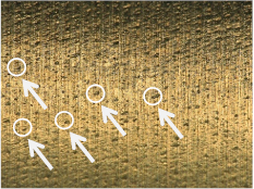 Materials 17 02210 i029