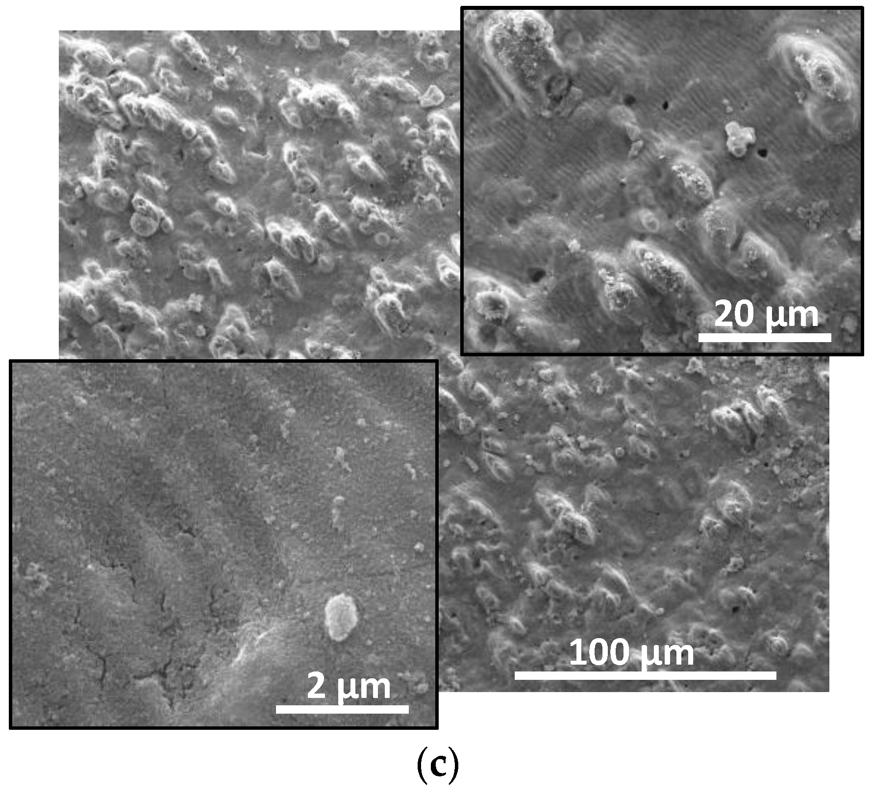 Materials 17 02254 g001b