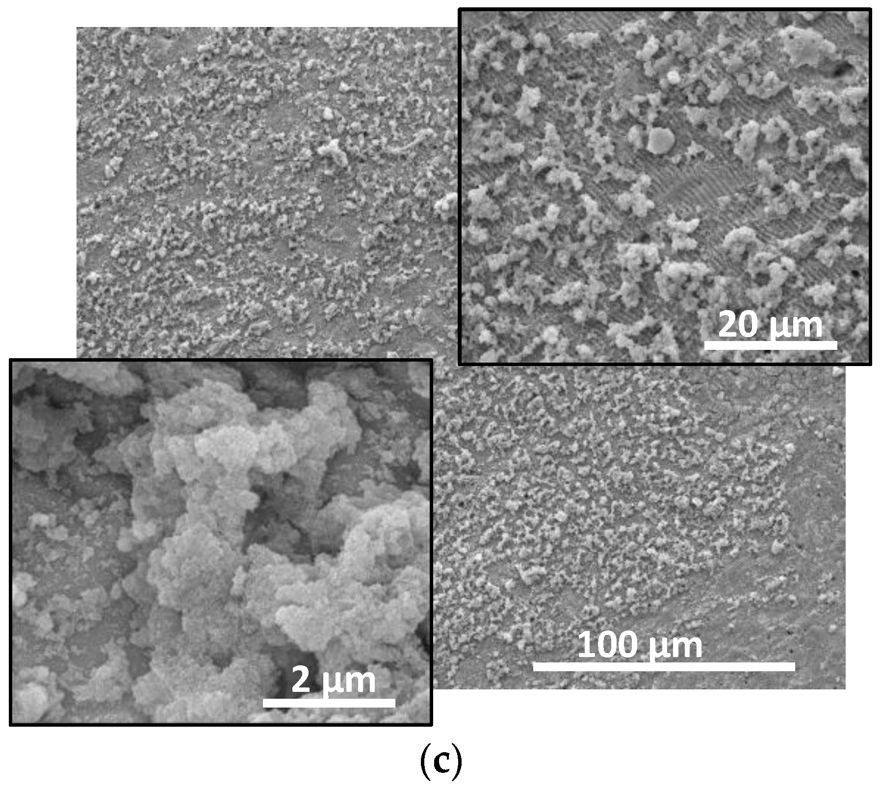 Materials 17 02254 g002b