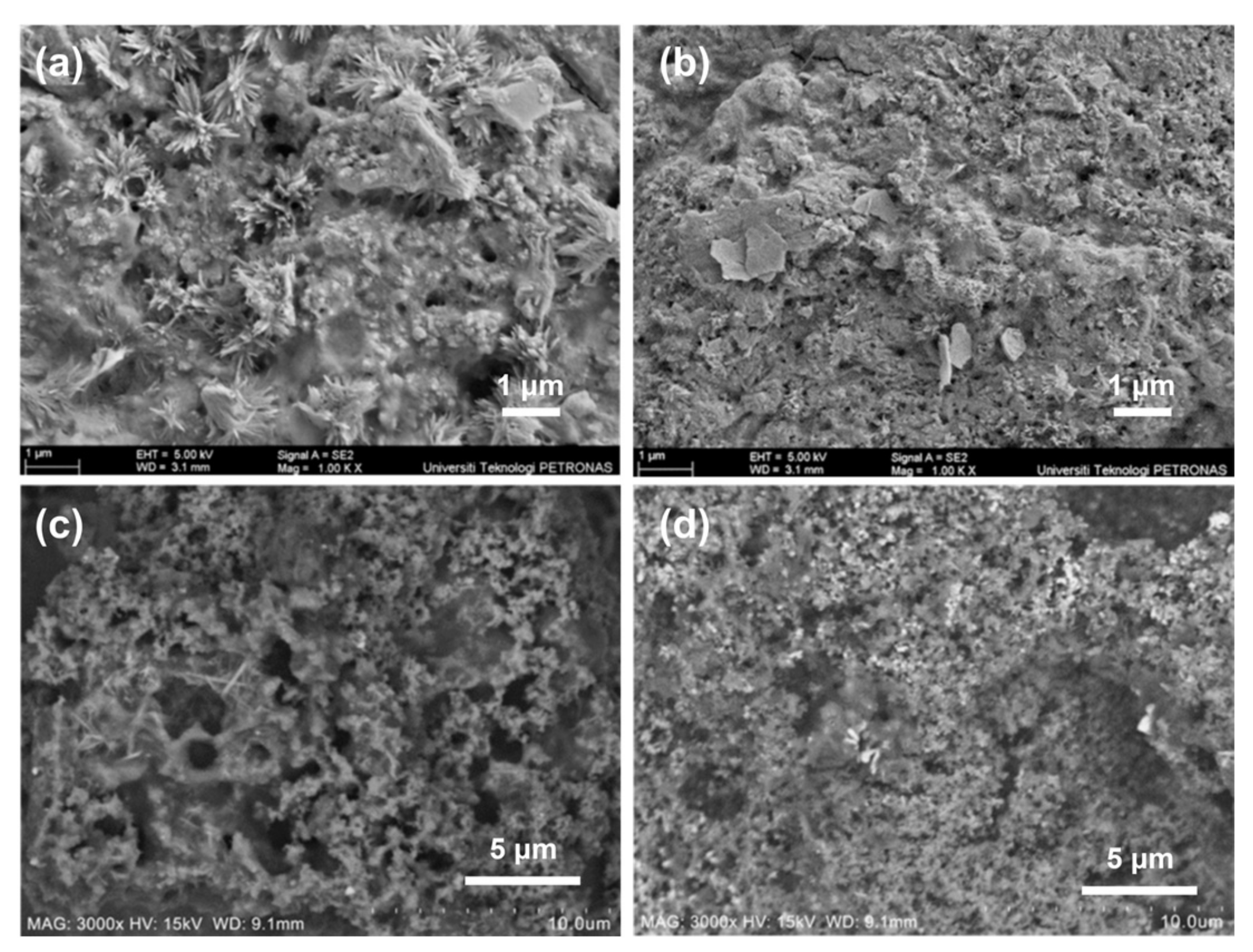 Materials 17 02266 g015