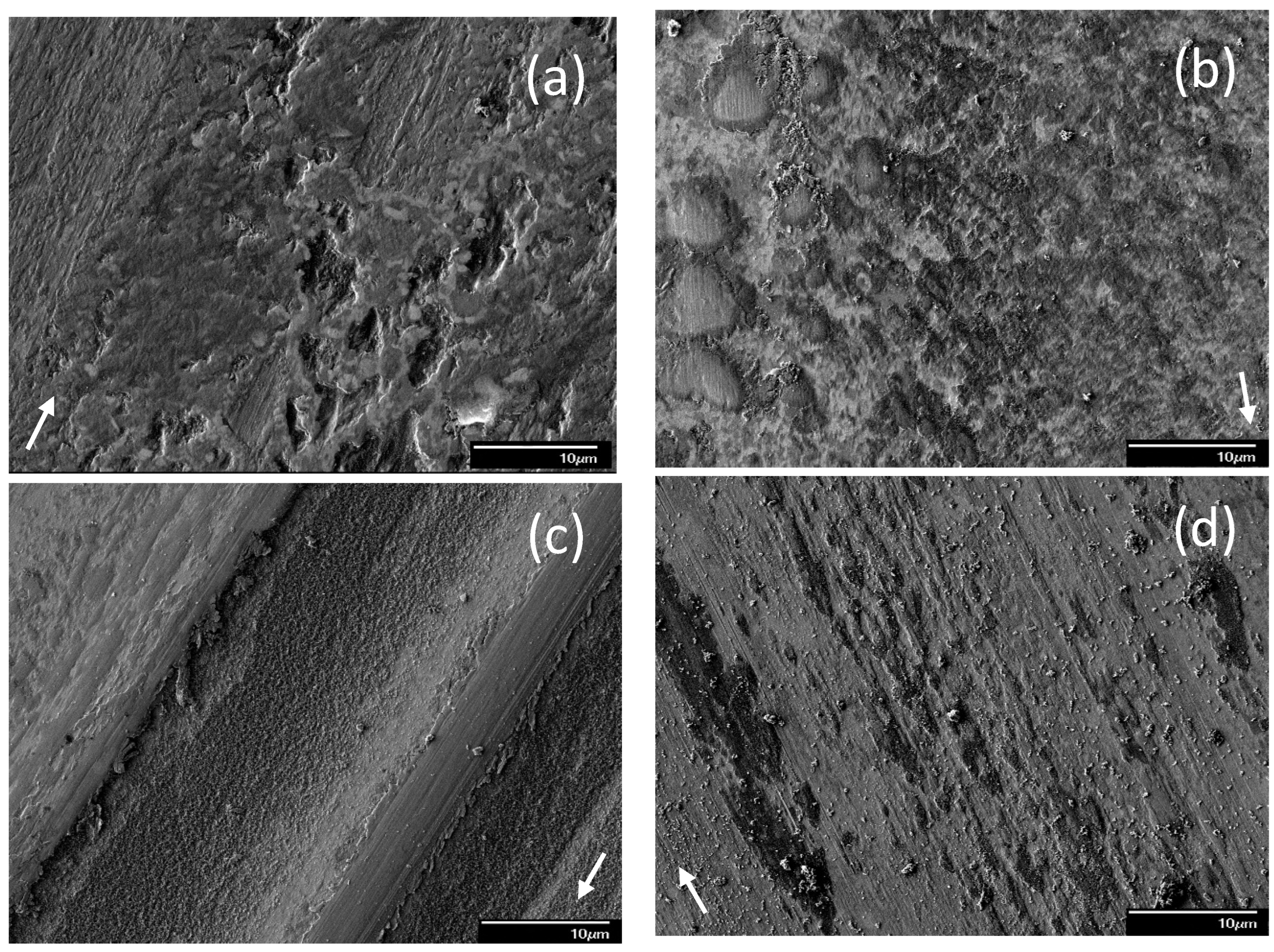 Materials 17 02324 g003