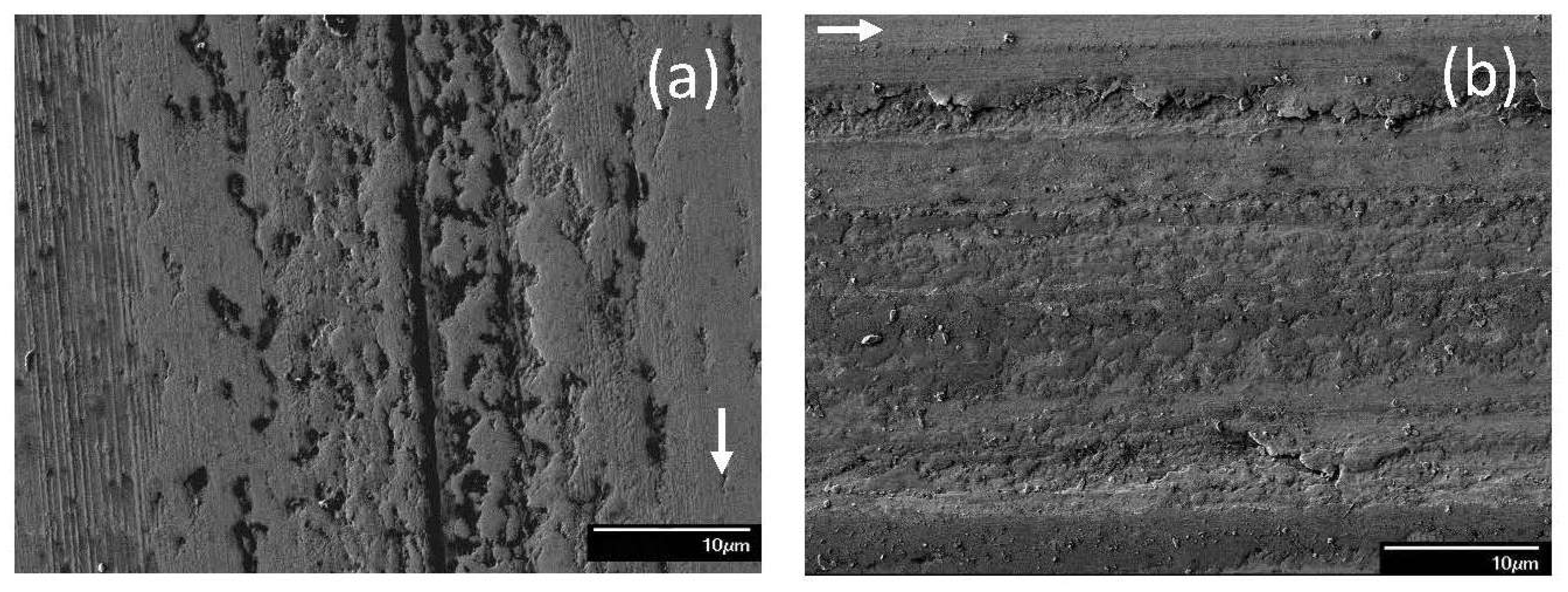 Materials 17 02324 g007