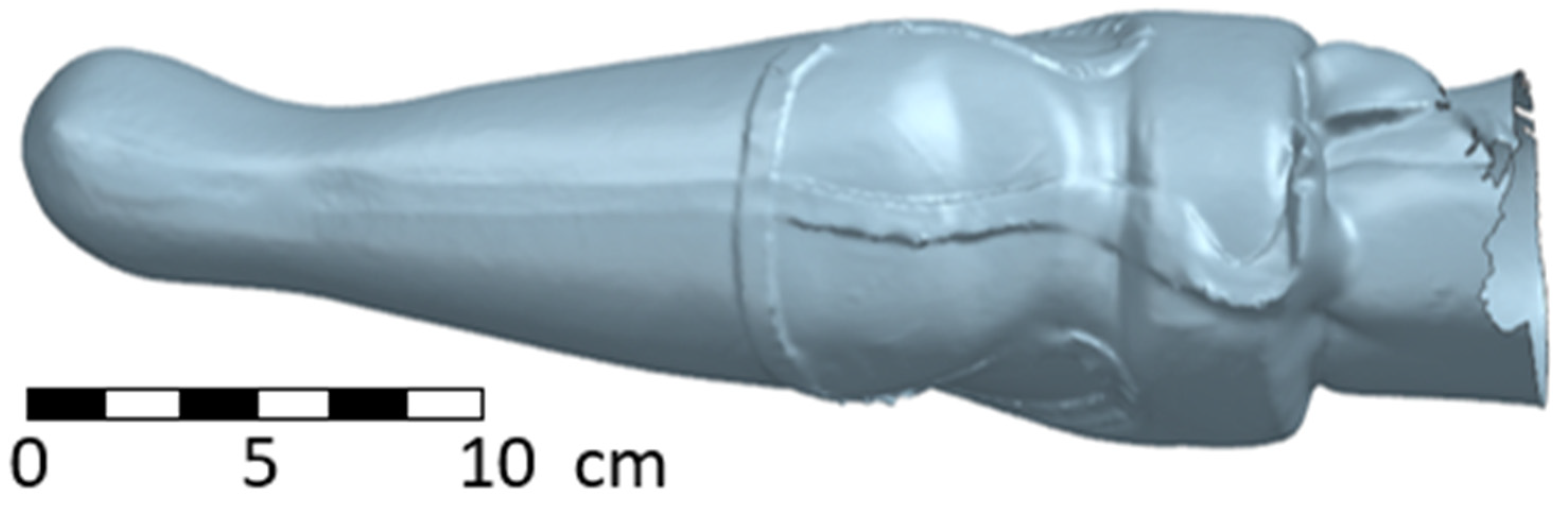 Materials 17 02347 g007