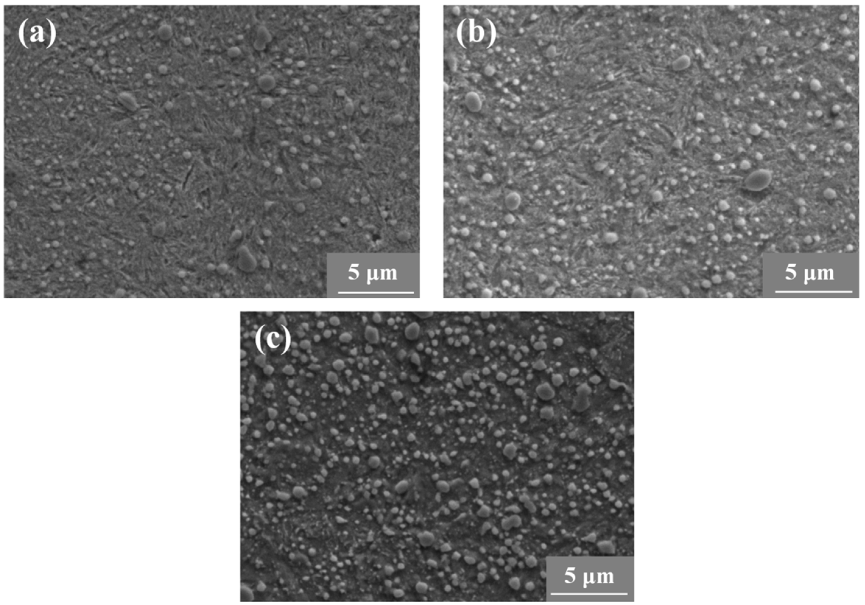 Materials 17 02350 g001