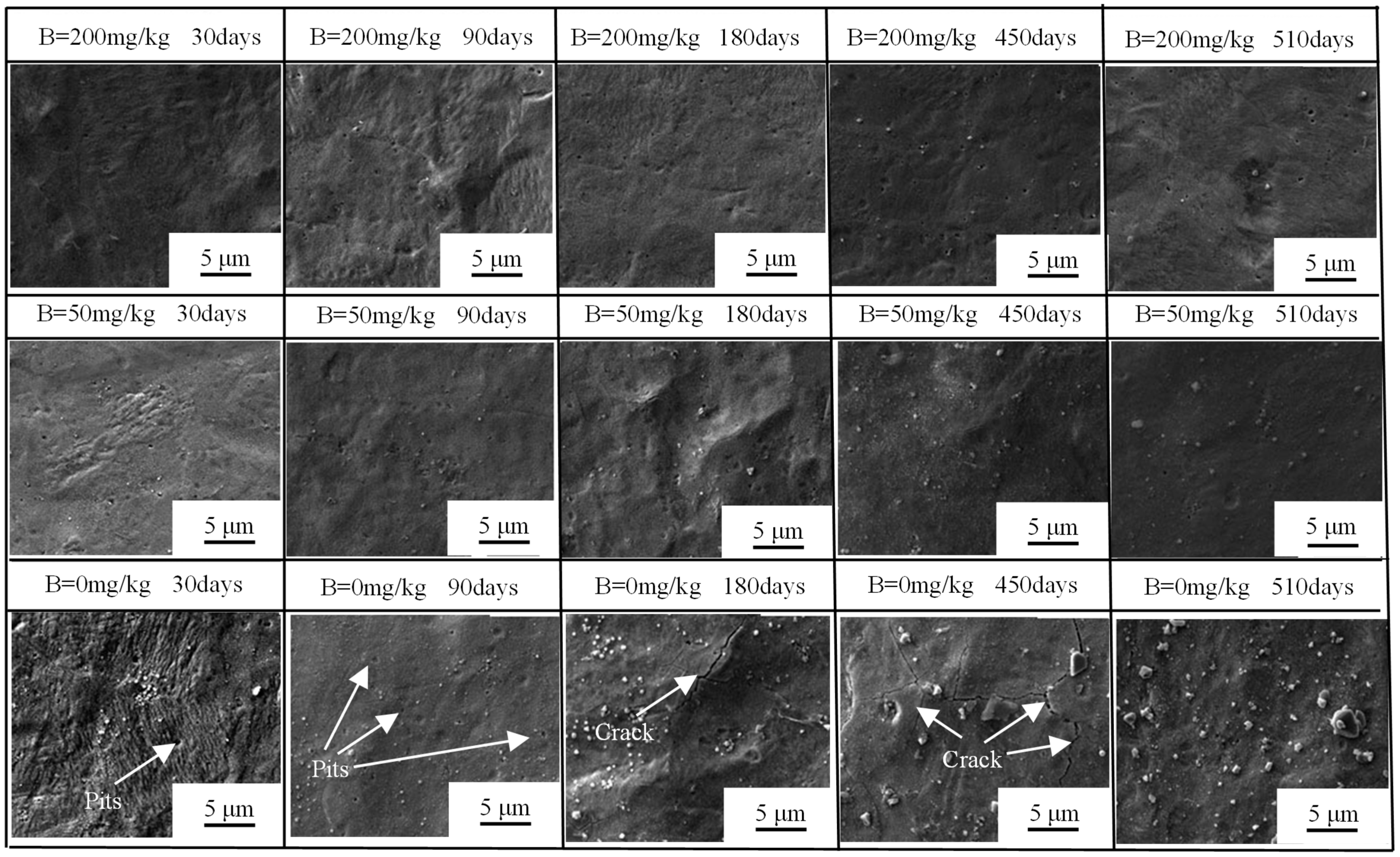 Materials 17 02373 g003 Materials 17 02373 g003
