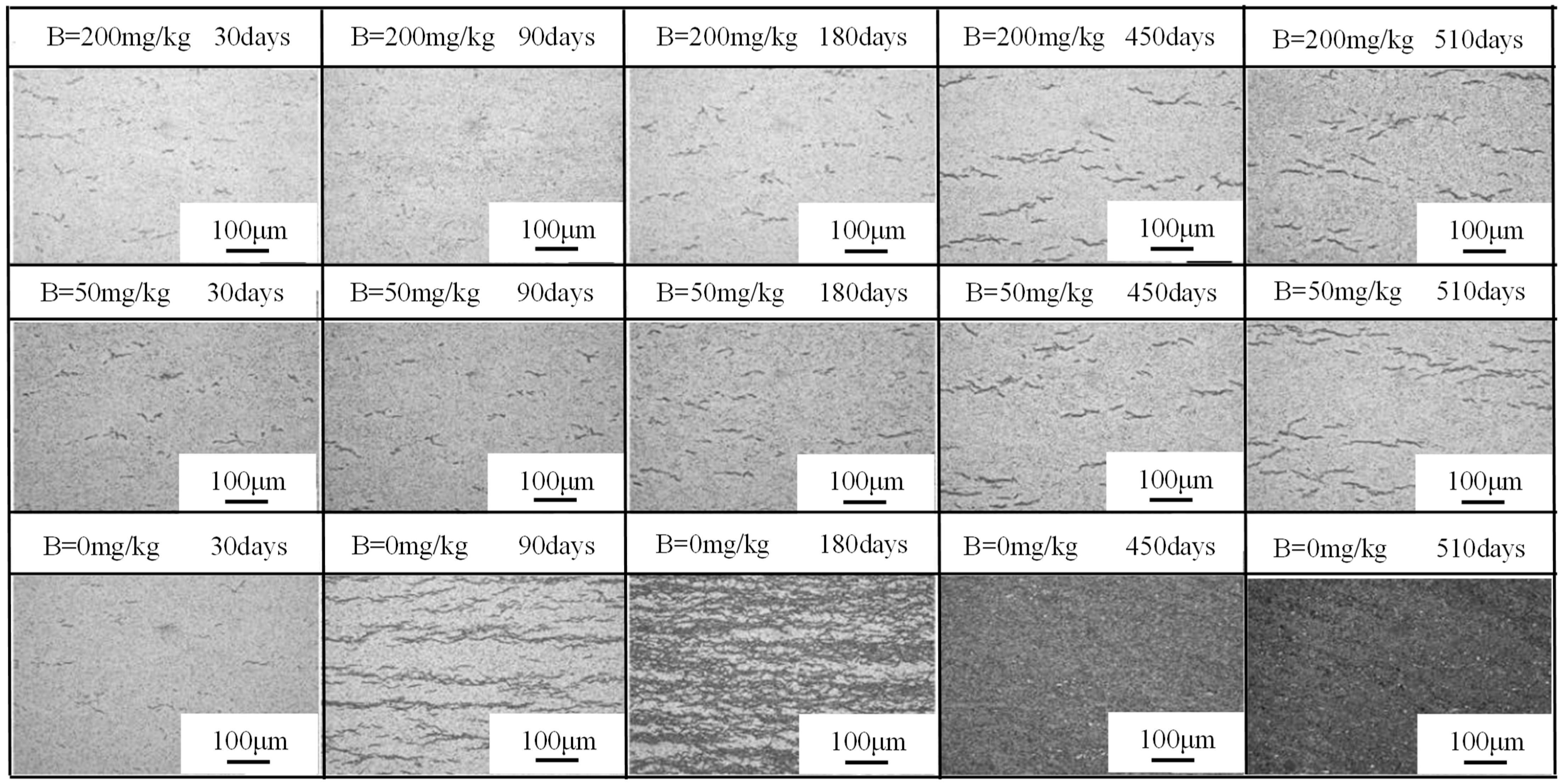 Materials 17 02373 g005 Materials 17 02373 g005