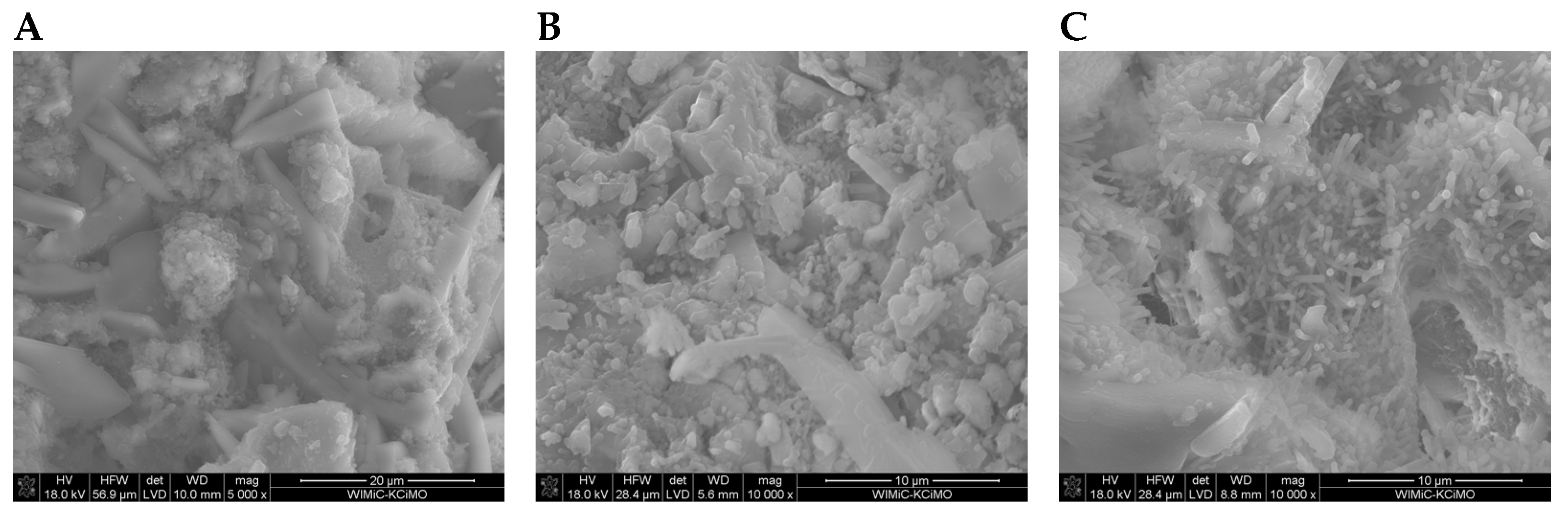 Materials 17 02374 g010