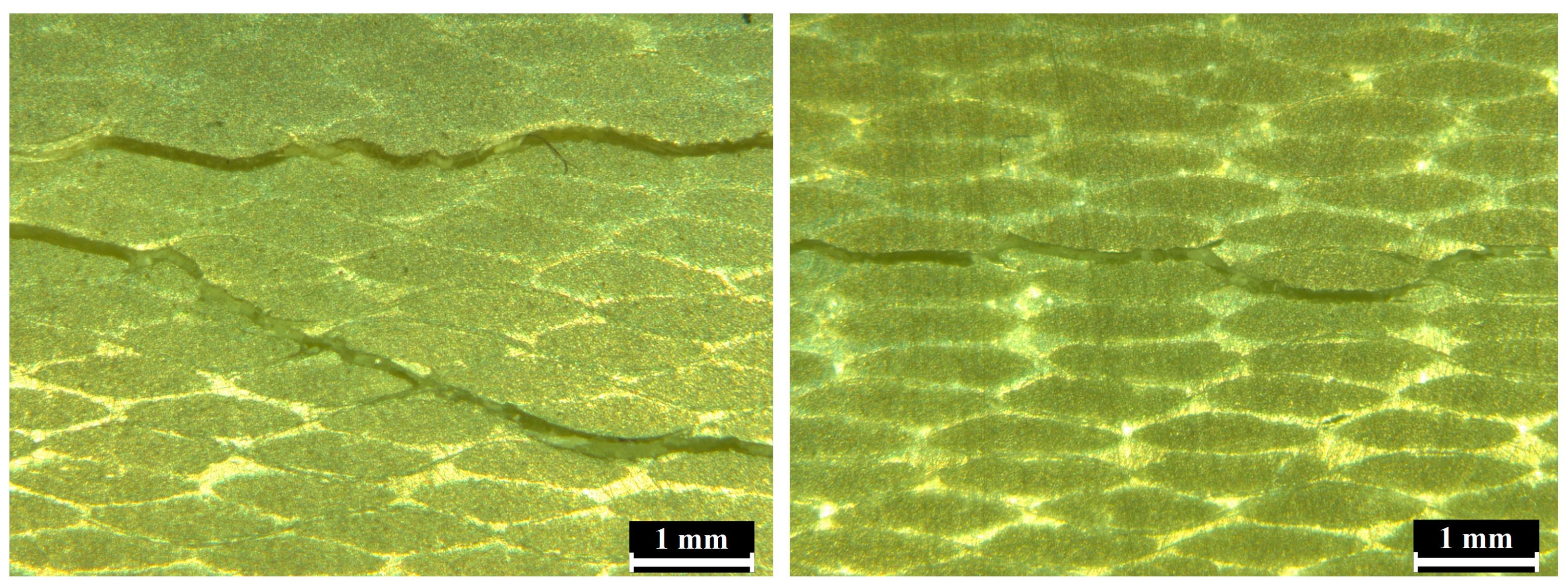 Materials 17 02402 g013 Materials 17 02402 g013