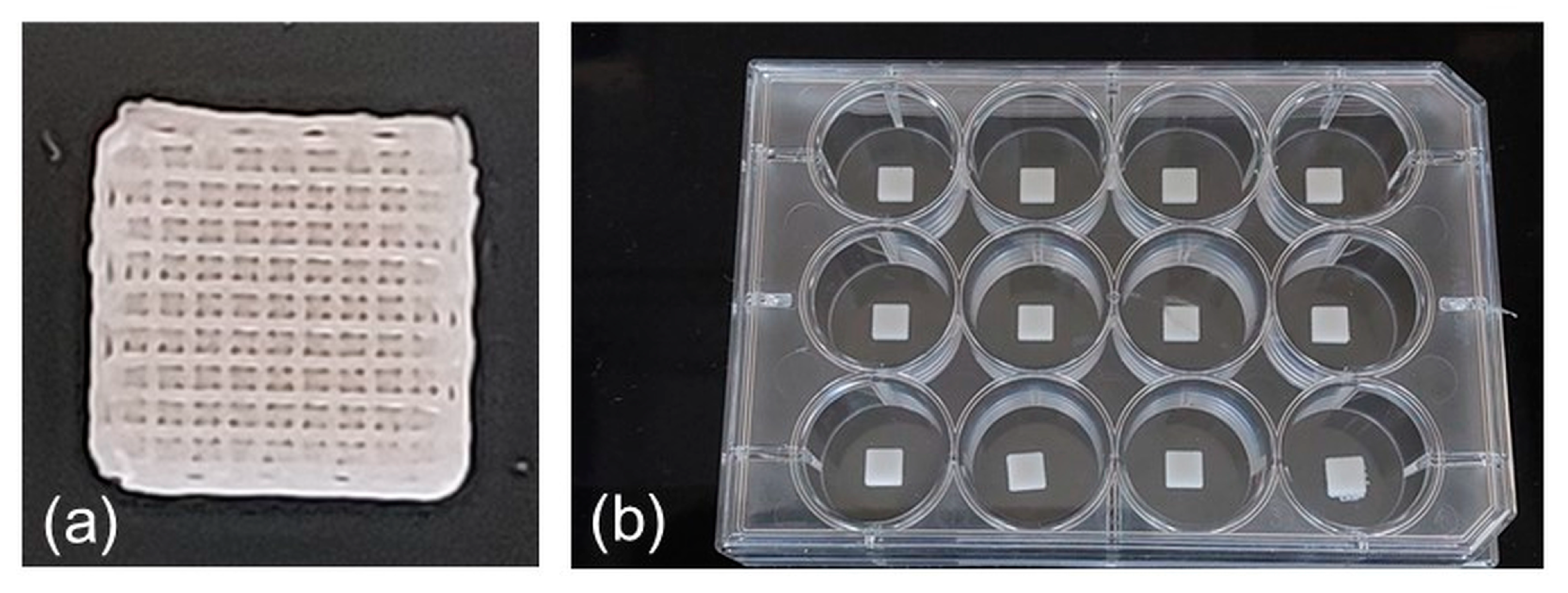 Materials 17 02413 g002
