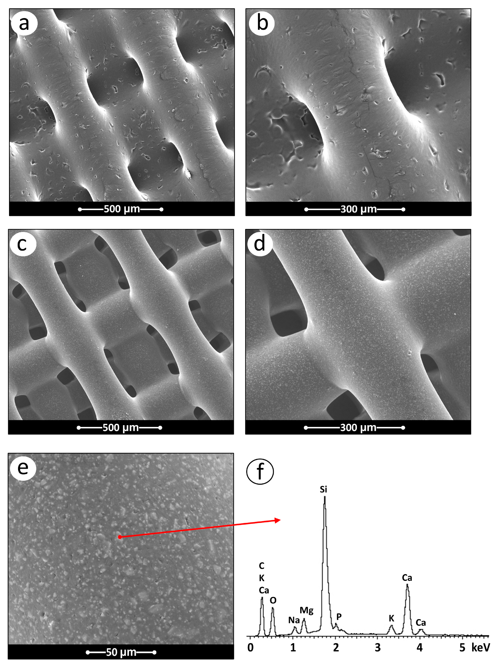 Materials 17 02413 g005