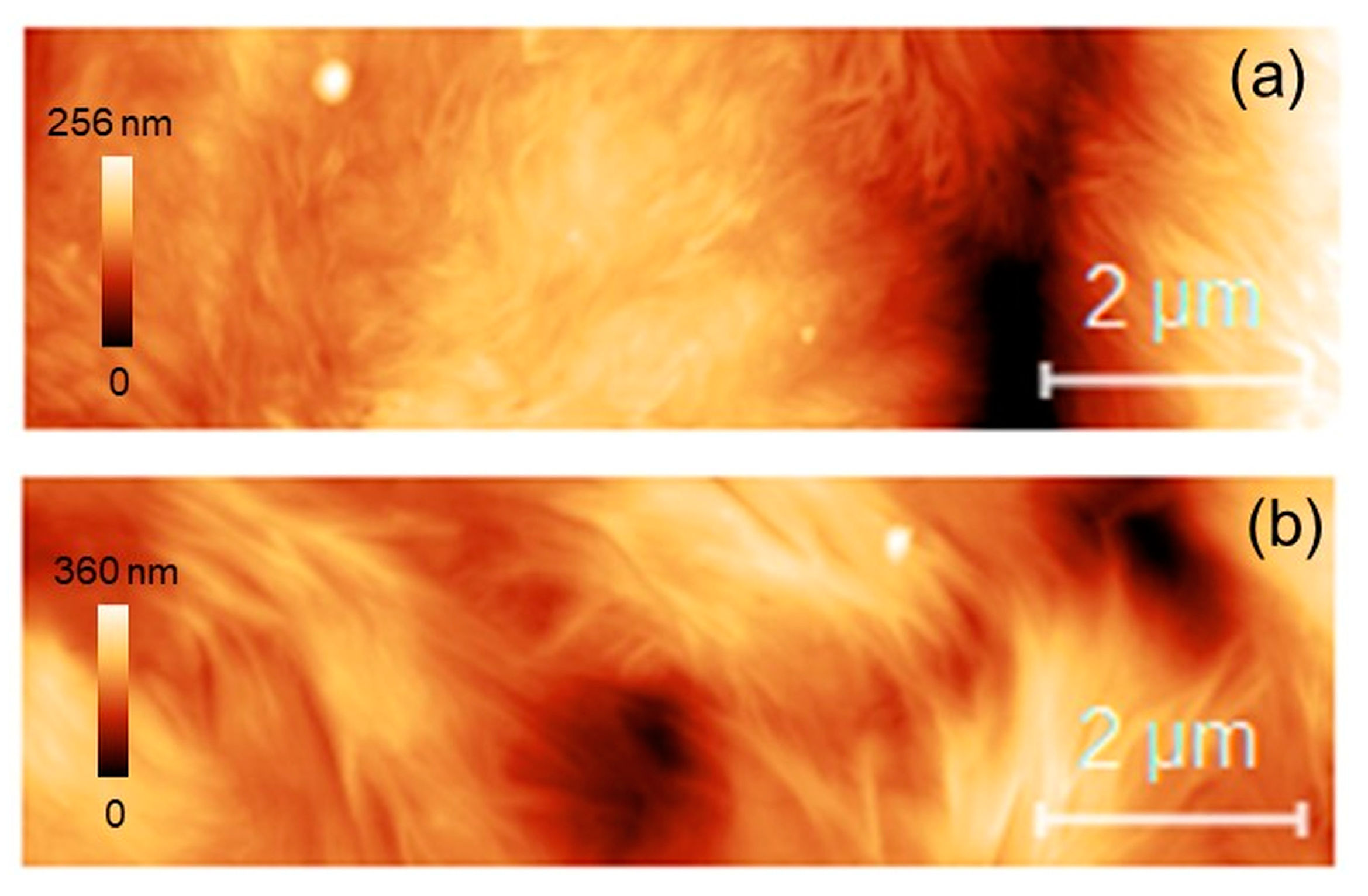 Materials 17 02413 g013