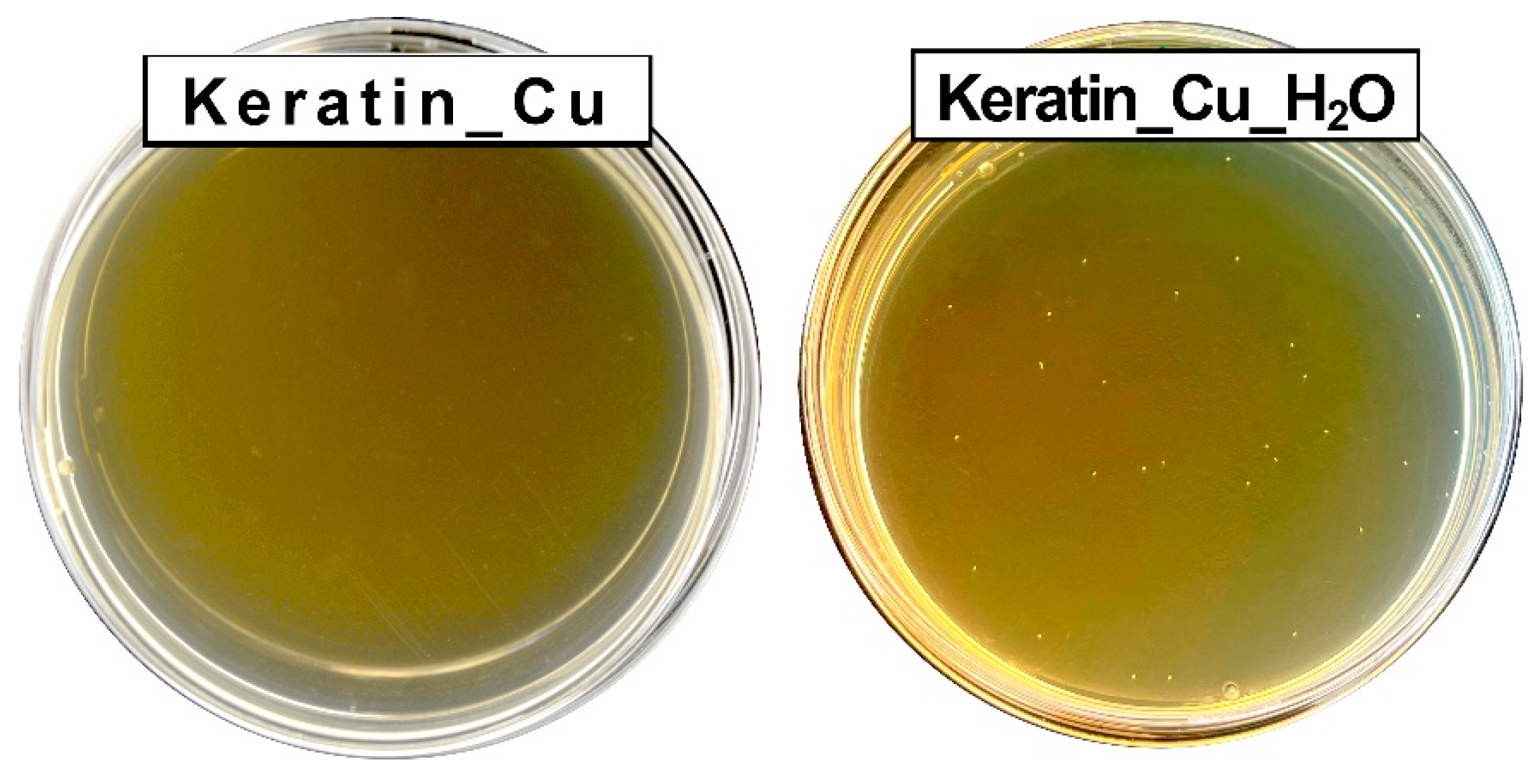 Materials 17 02435 g006