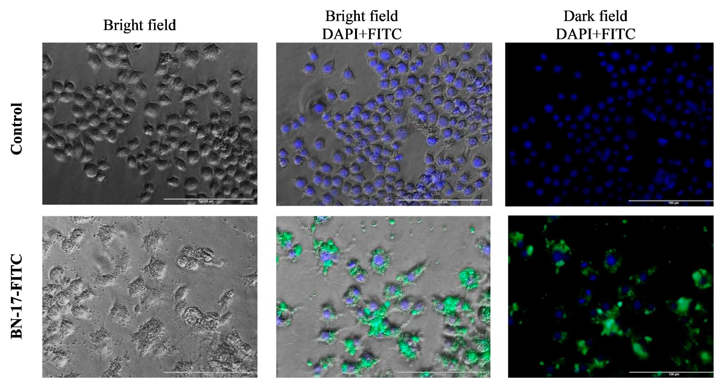 Materials 17 02438 g012